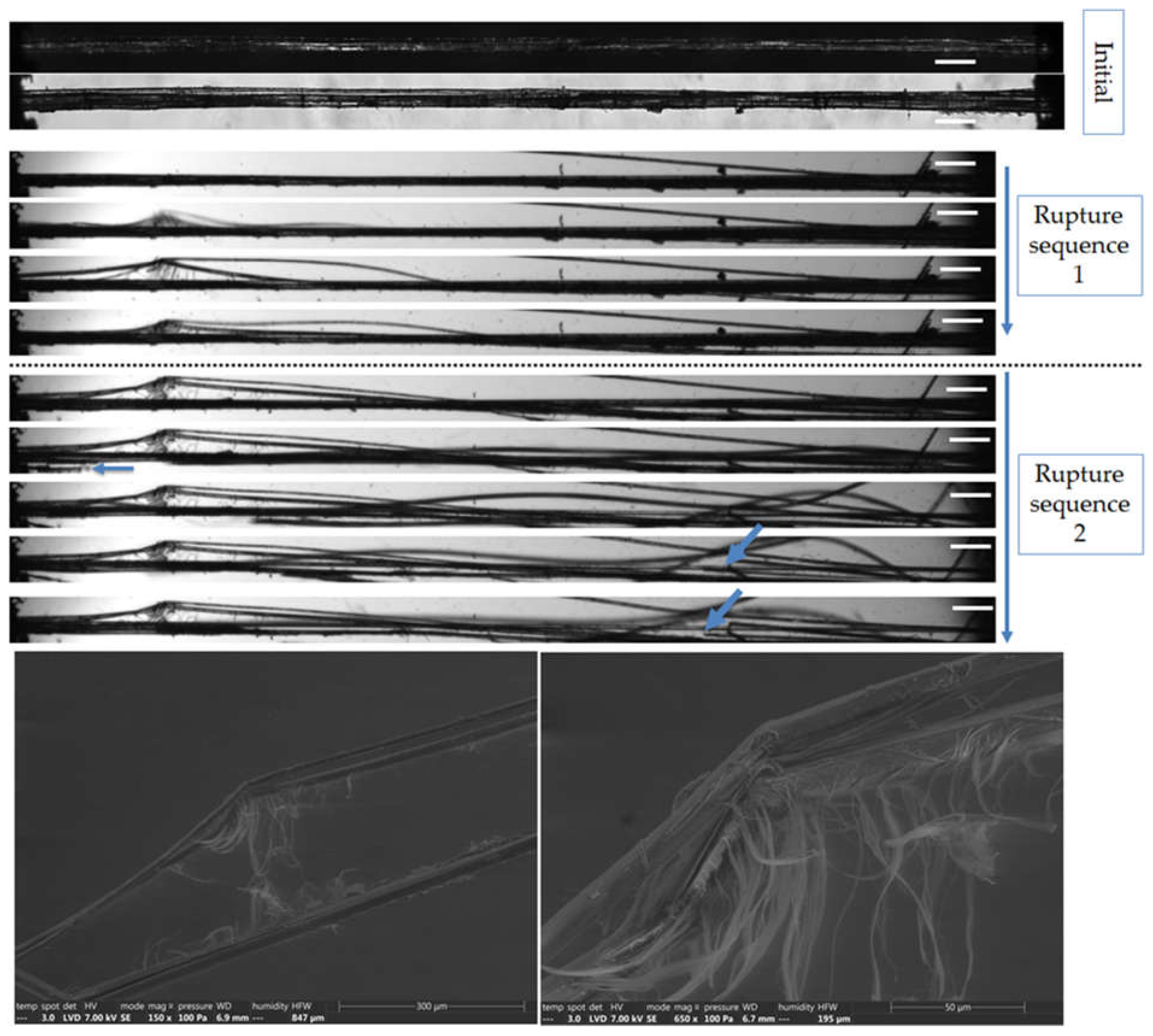 Preprints 74976 g010