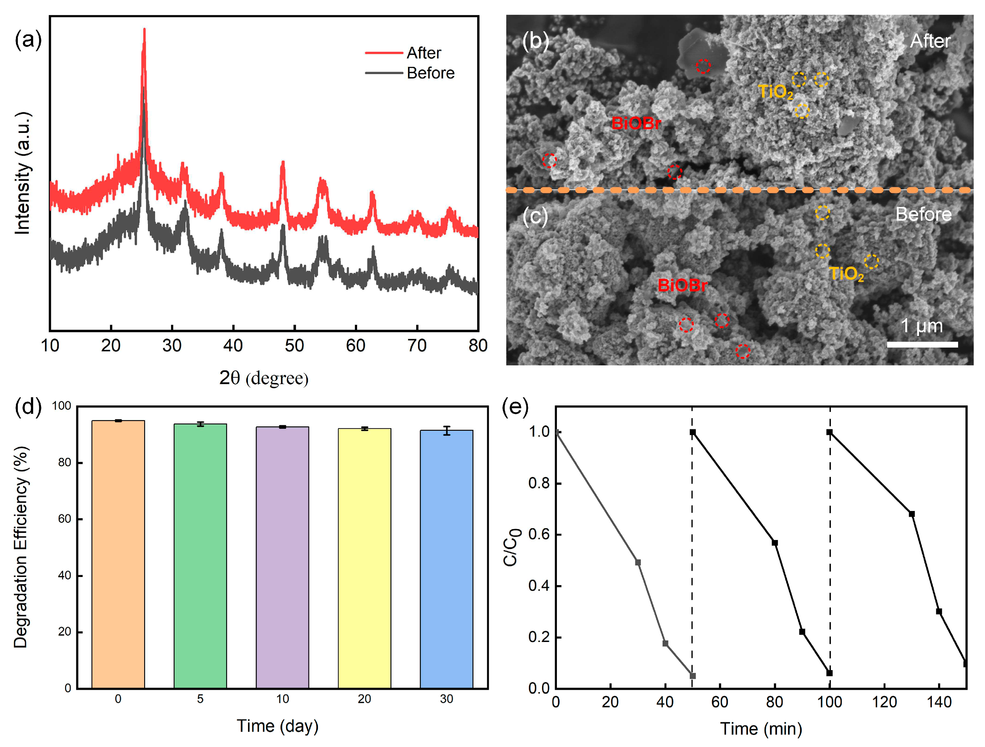 Preprints 90660 g009