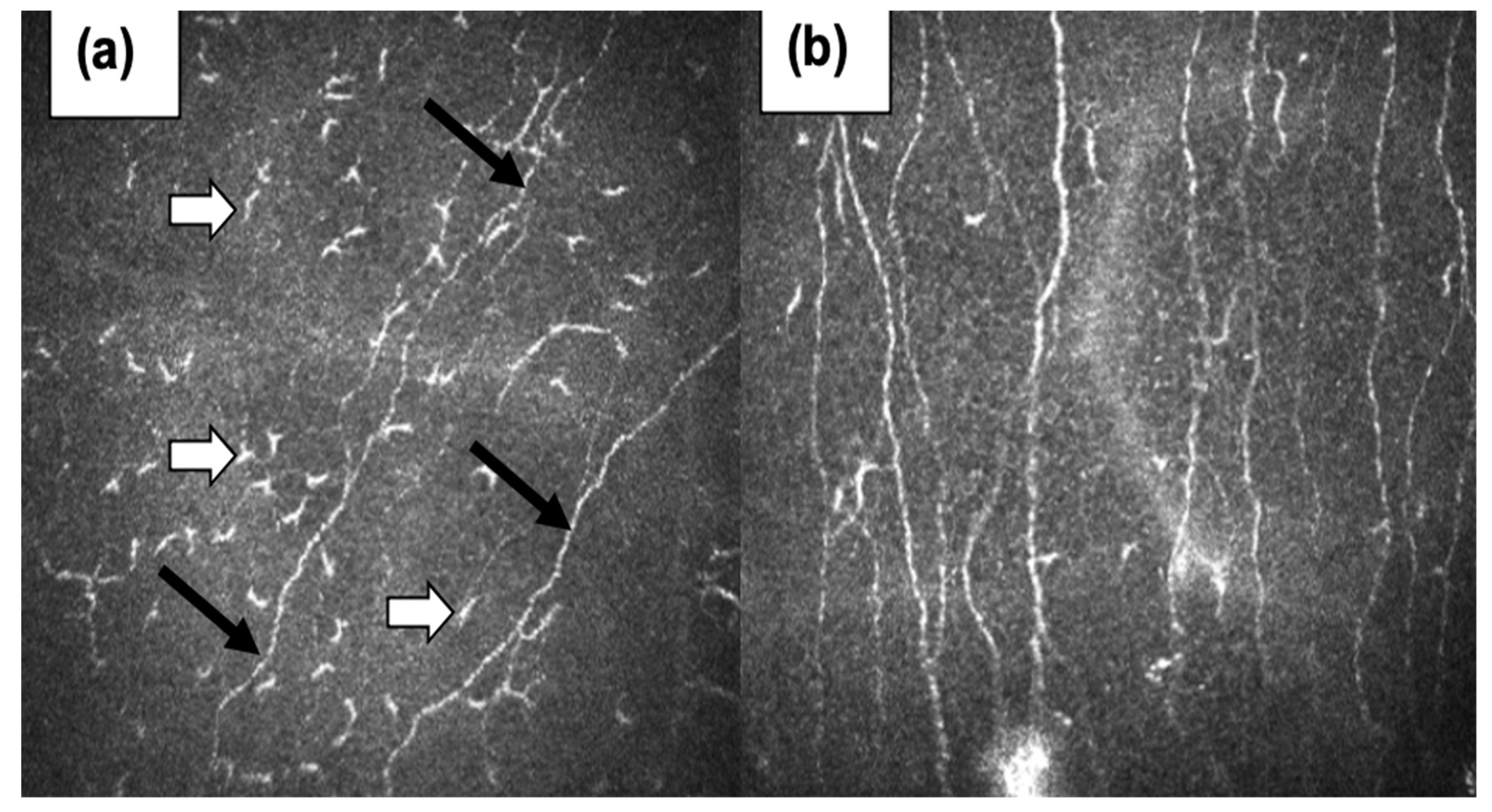 Preprints 78610 g001