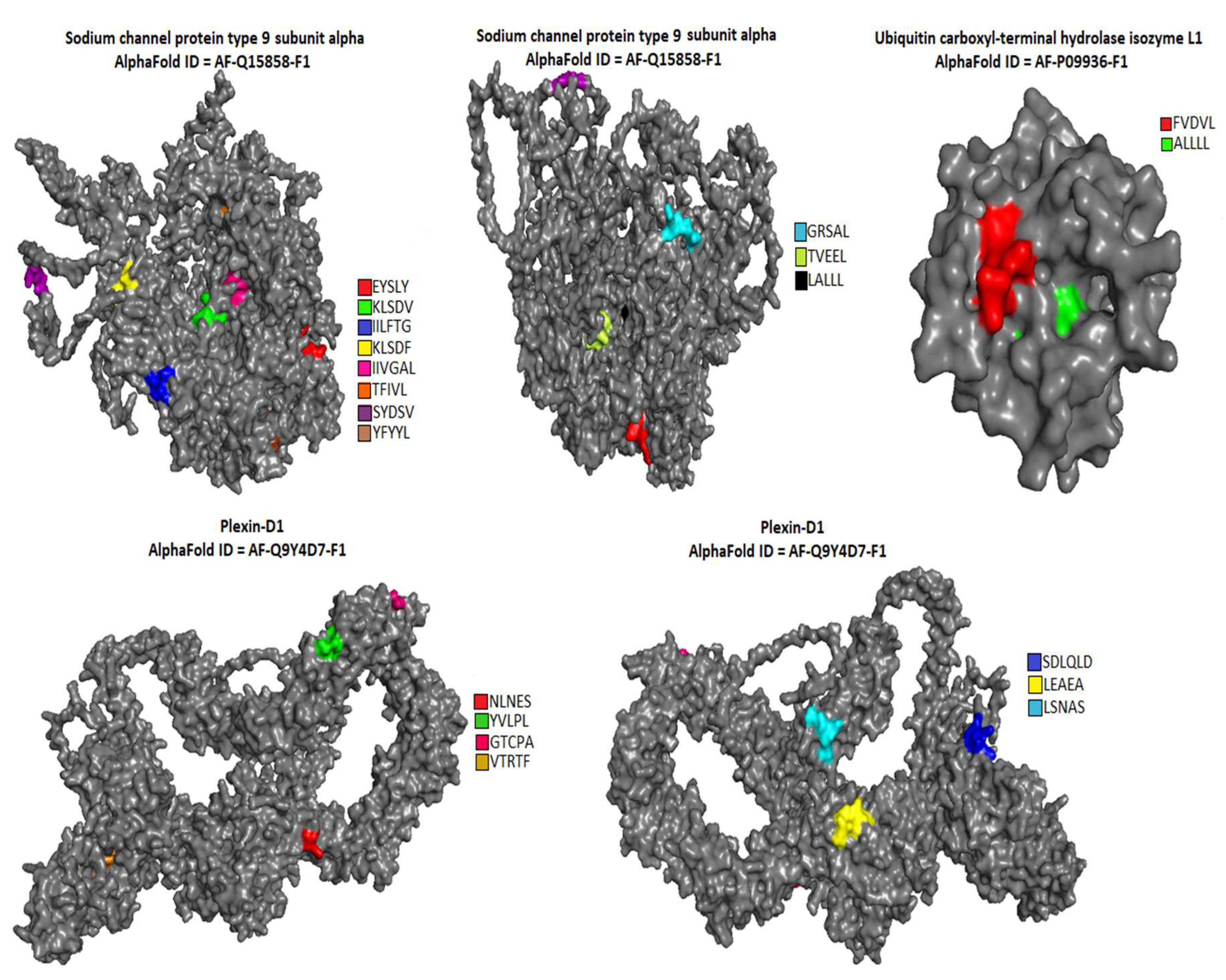 Preprints 78610 g003