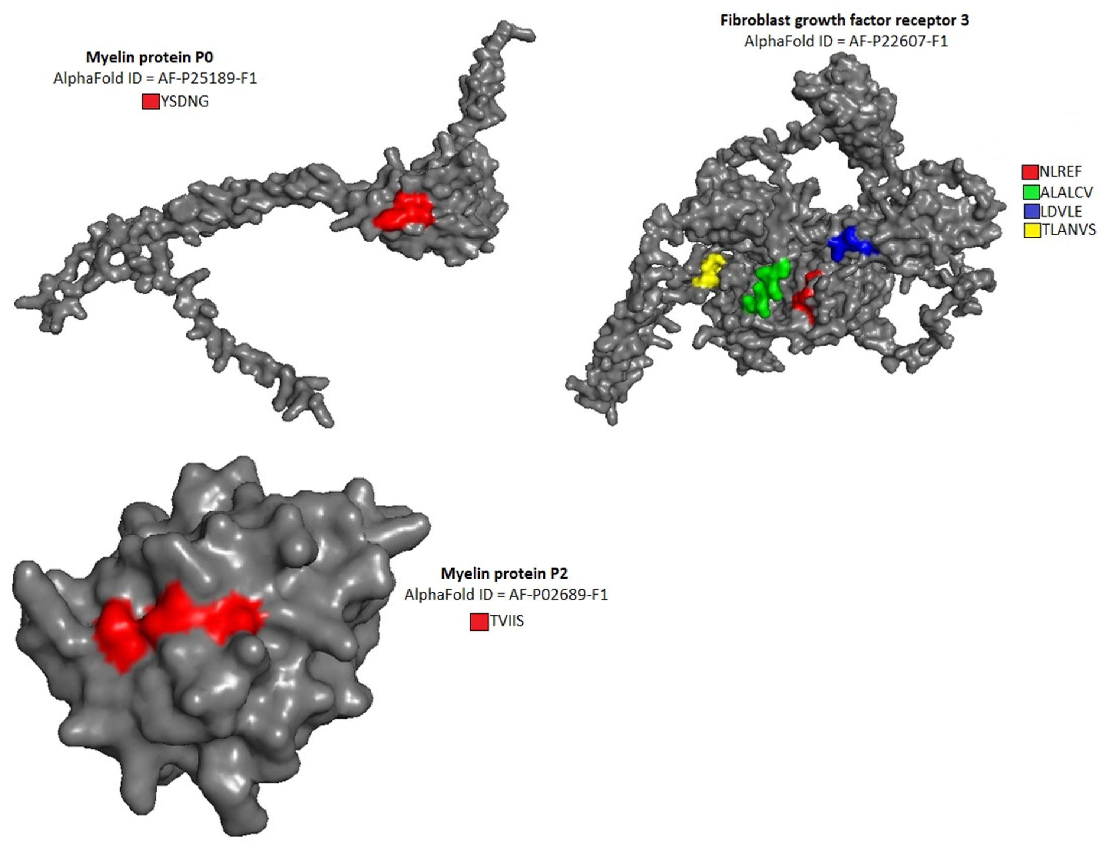 Preprints 78610 g004