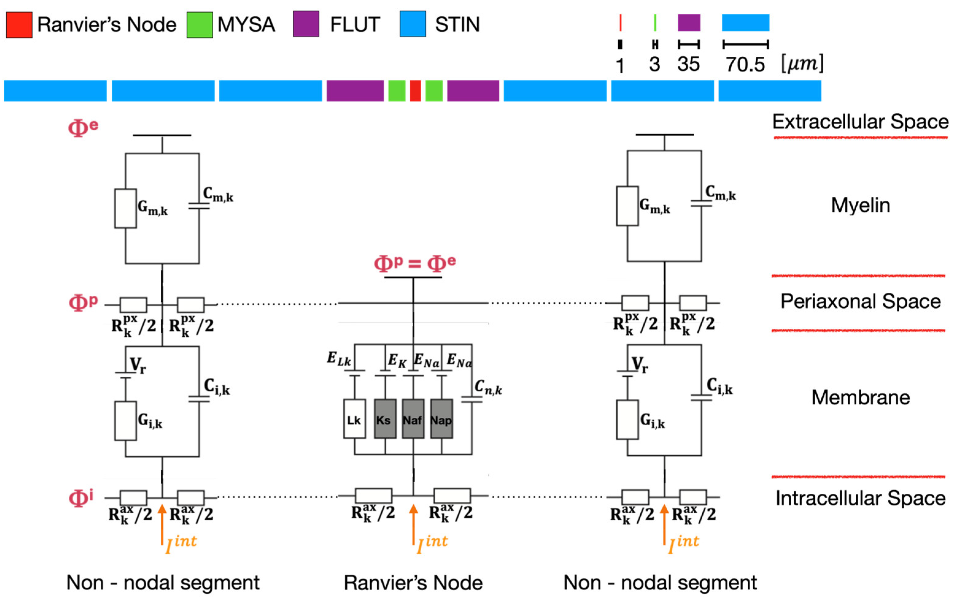 Preprints 107801 g003