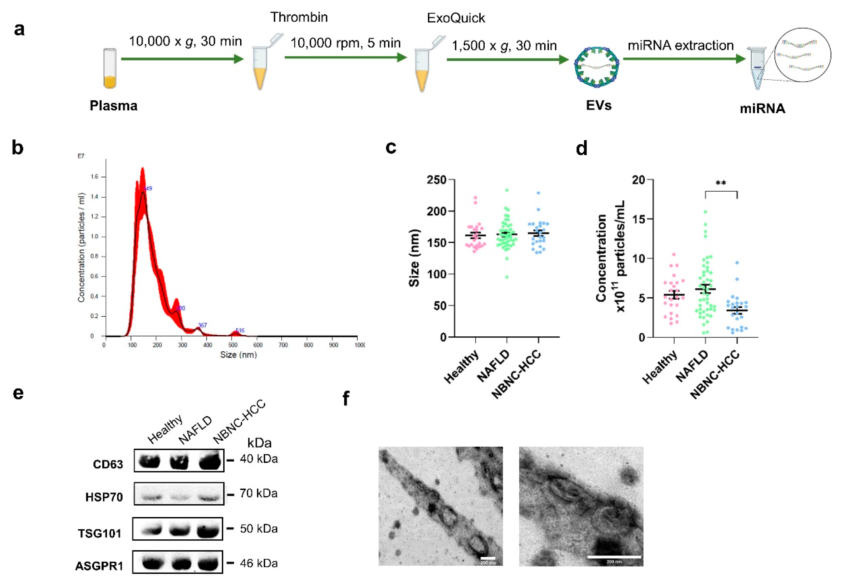 Preprints 82642 g001