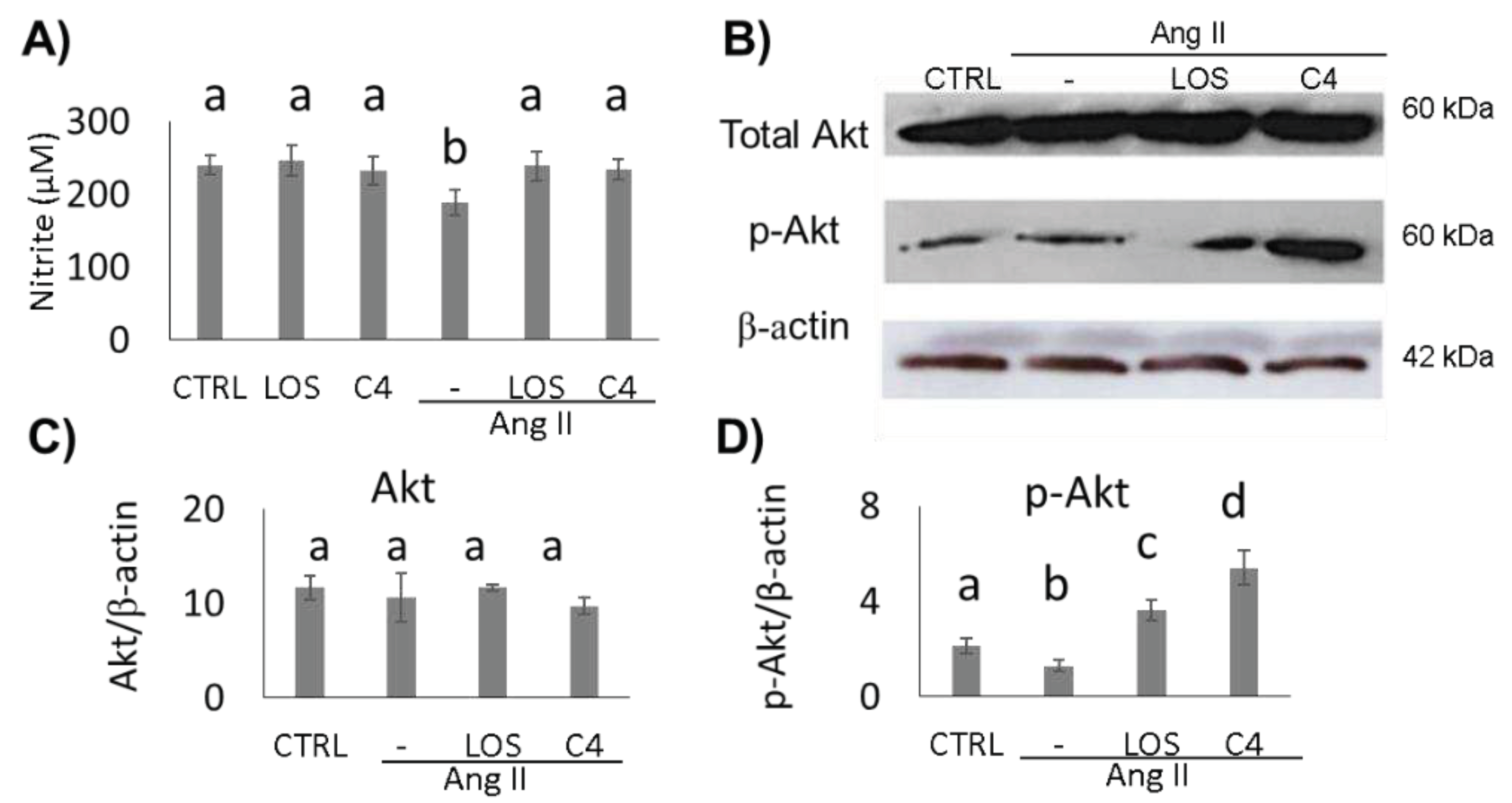 Preprints 87856 g002