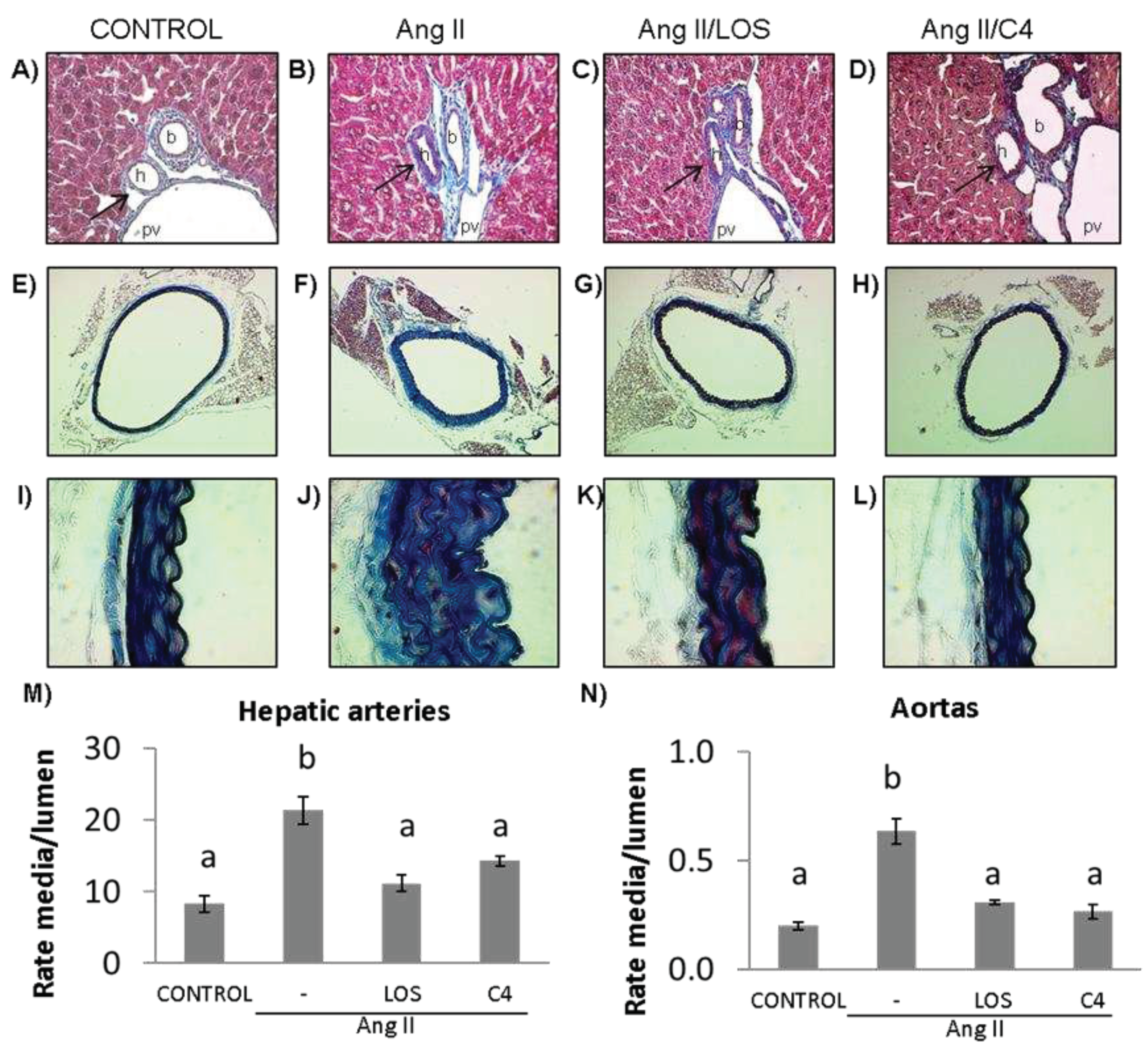 Preprints 87856 g003