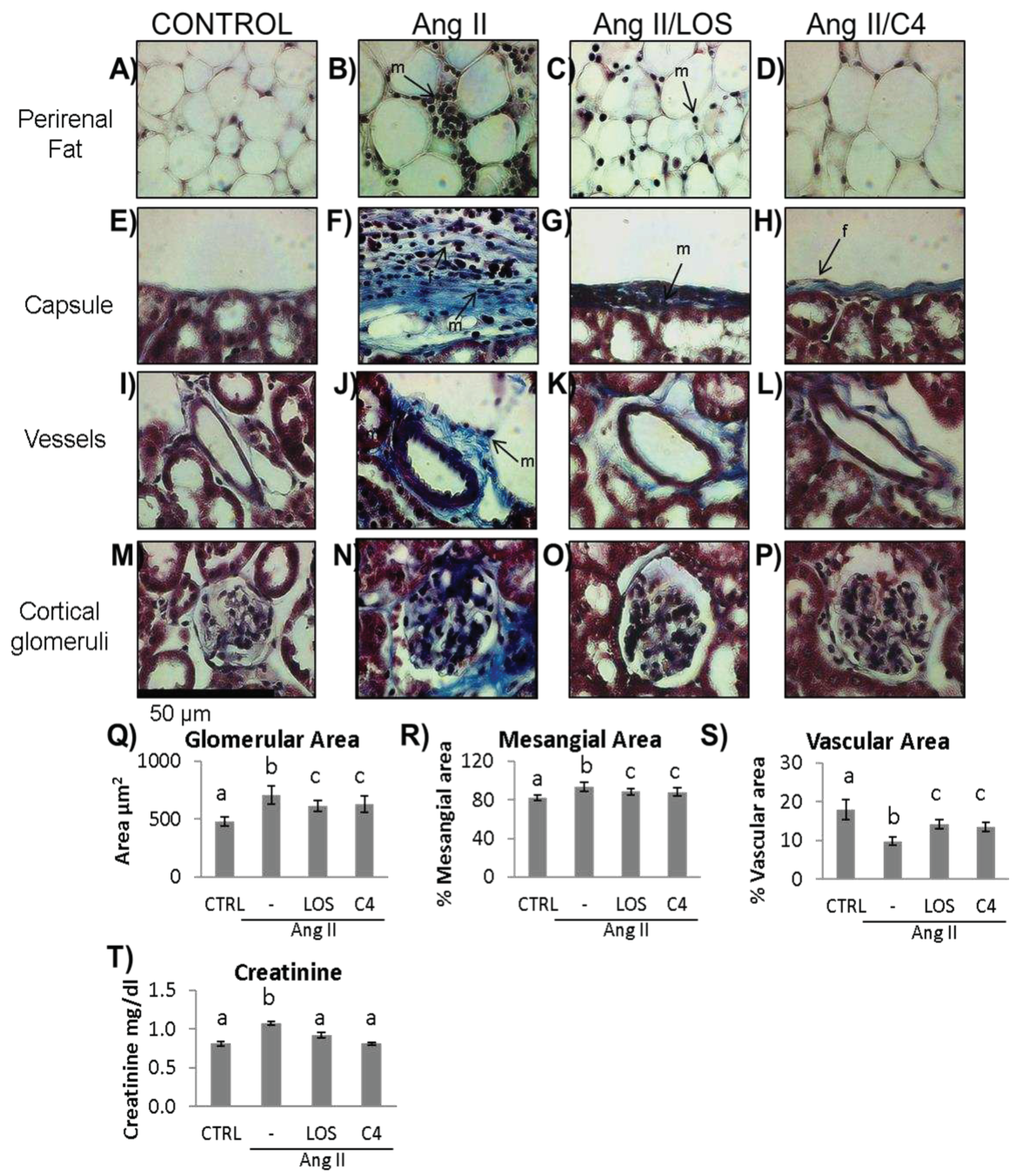 Preprints 87856 g005