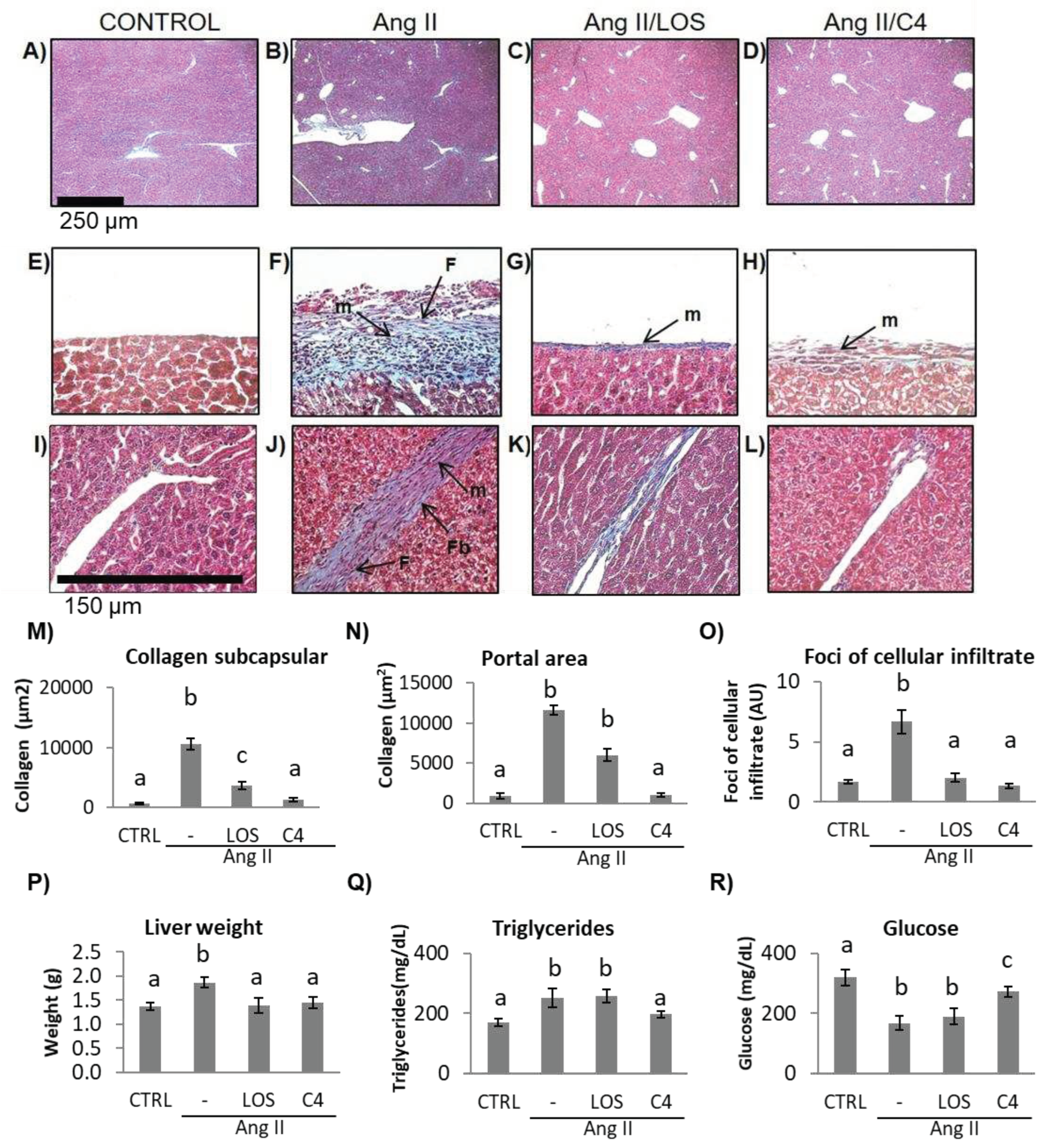 Preprints 87856 g006