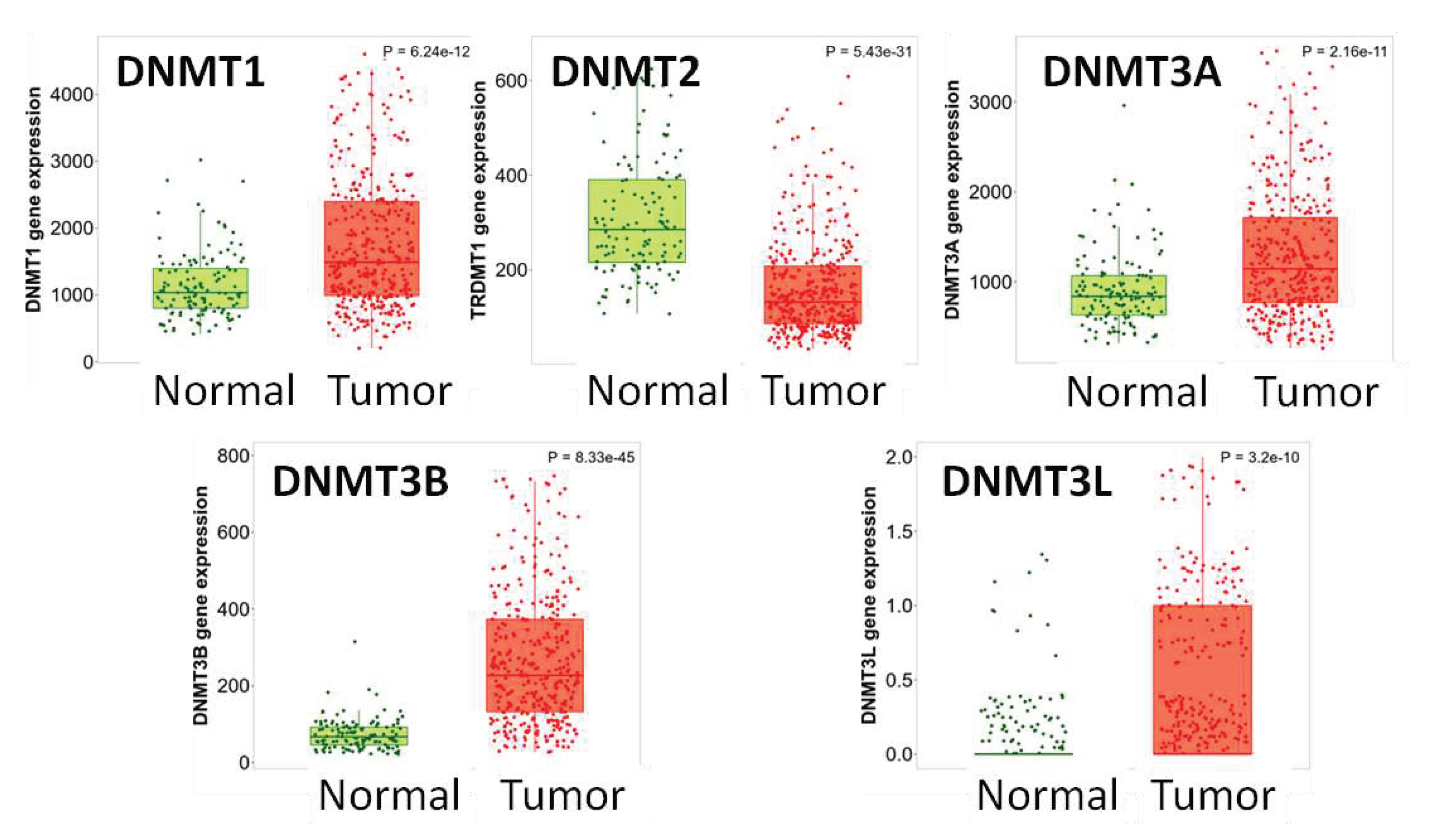 Preprints 82450 g001