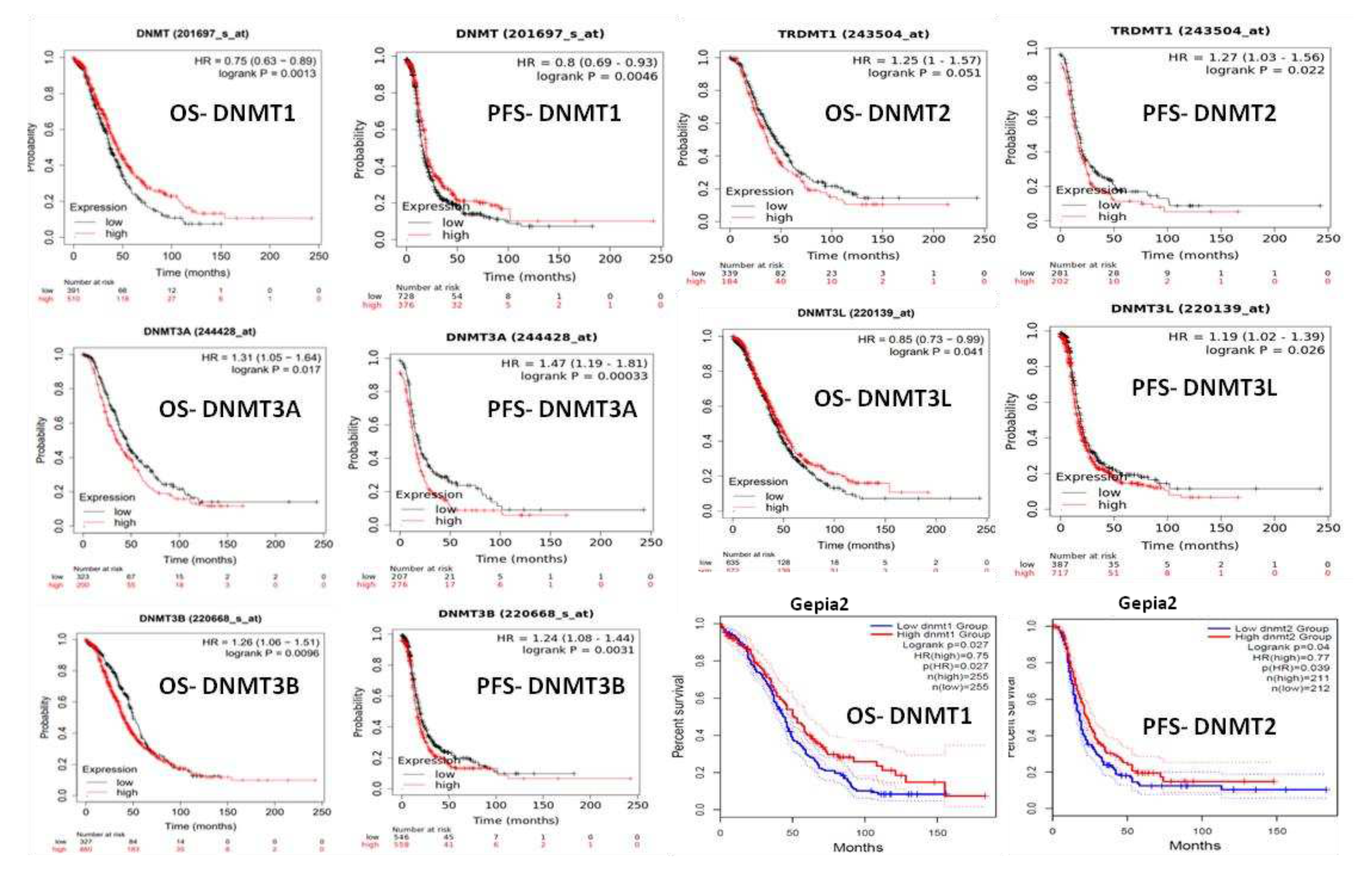 Preprints 82450 g005