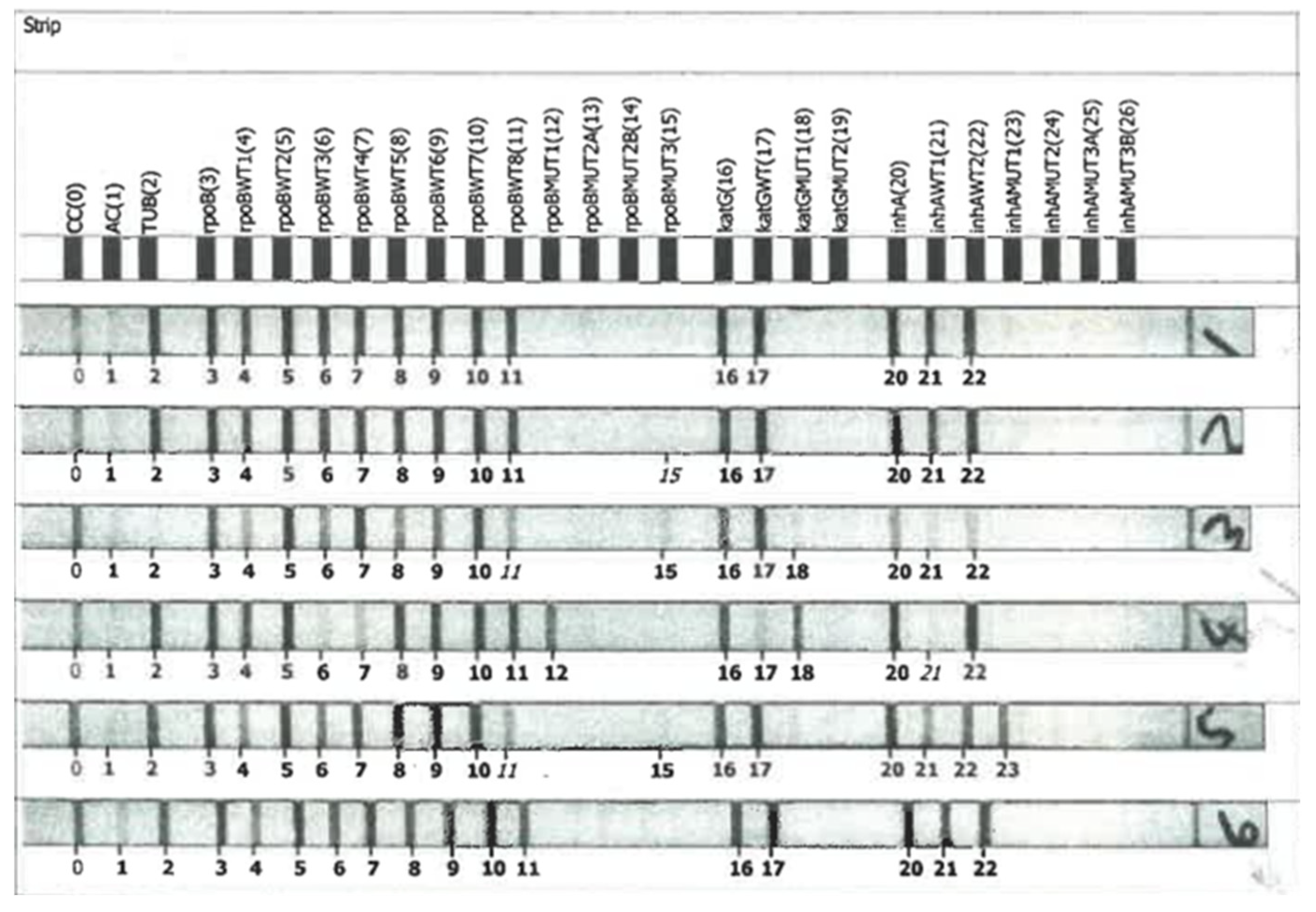 Preprints 76082 g001