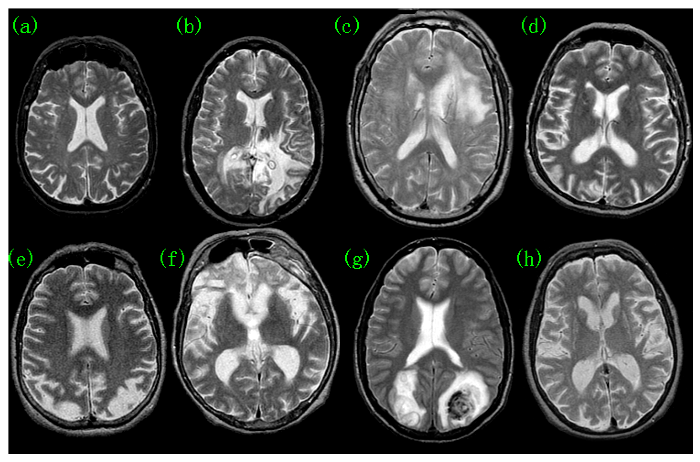 Preprints 93564 g001