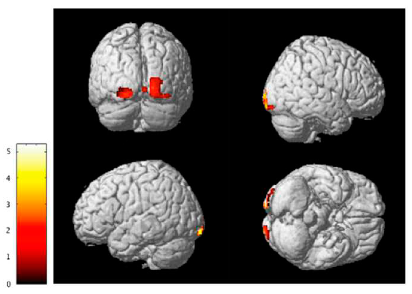 Preprints 93564 g004