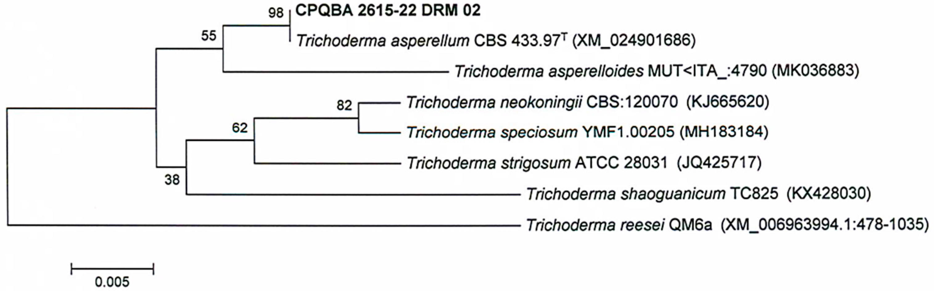 Preprints 69078 g002