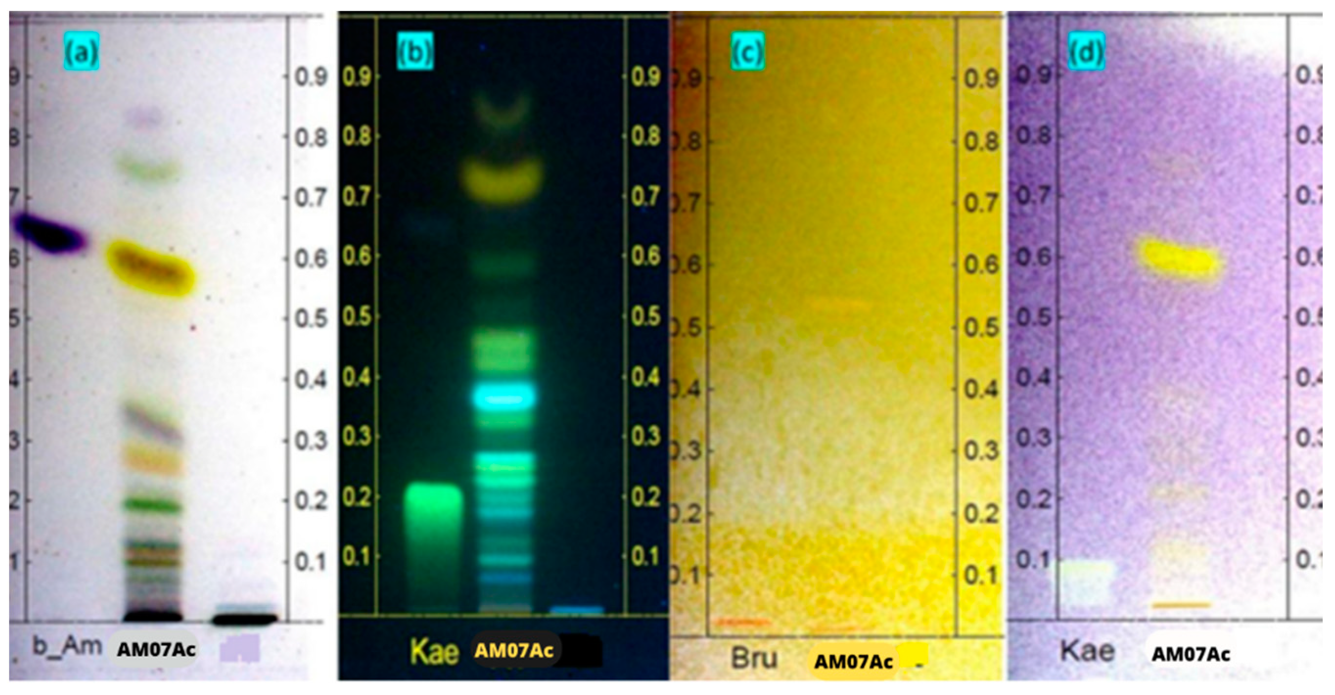 Preprints 69078 g003