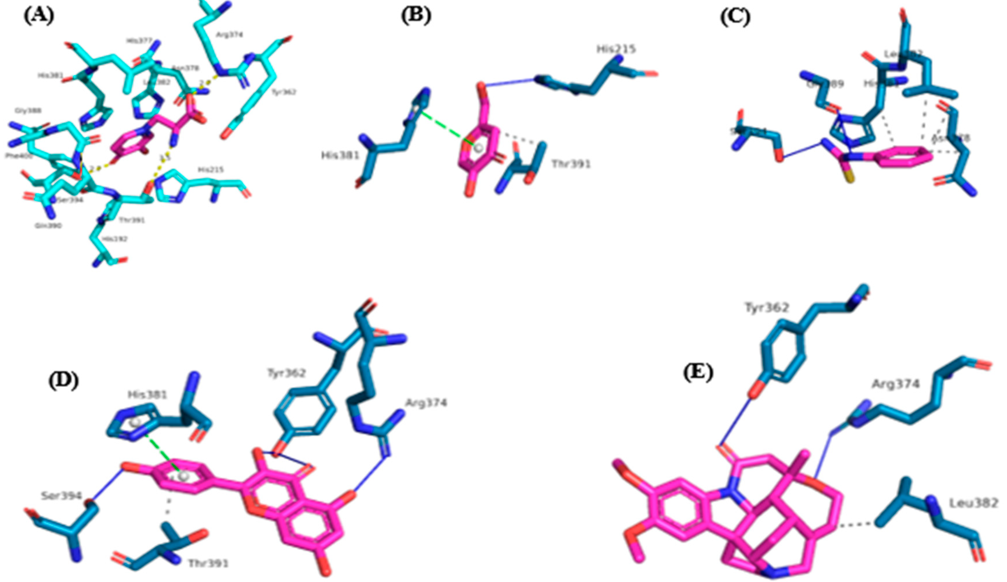 Preprints 69078 g009