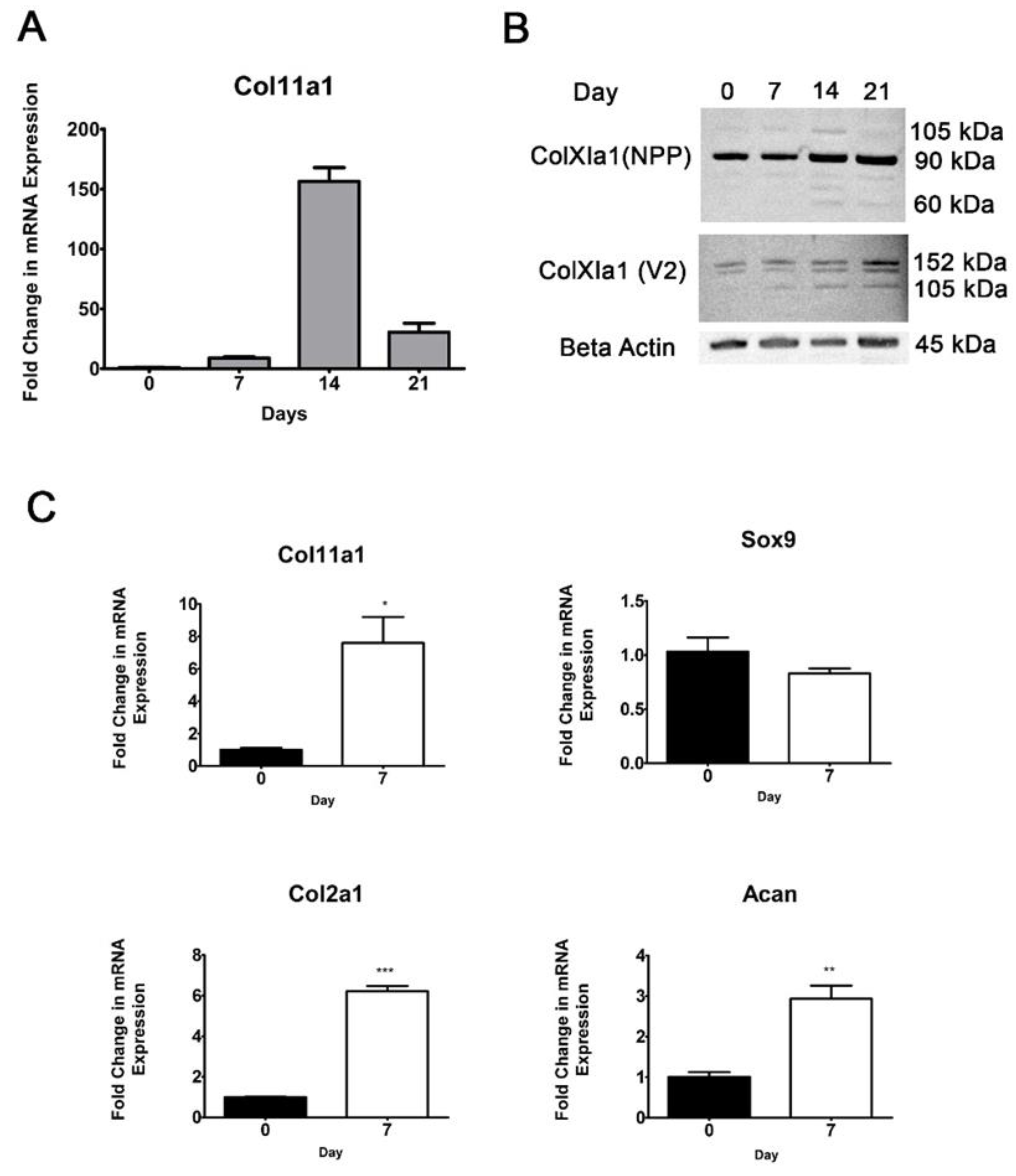 Preprints 66685 g001