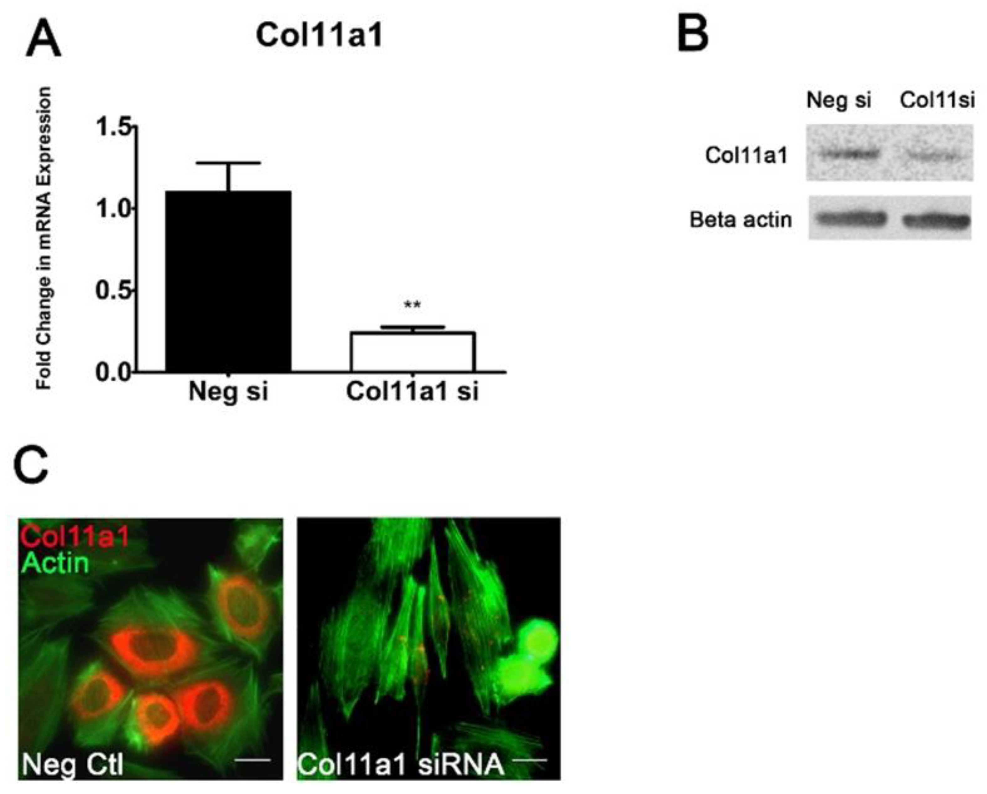 Preprints 66685 g002