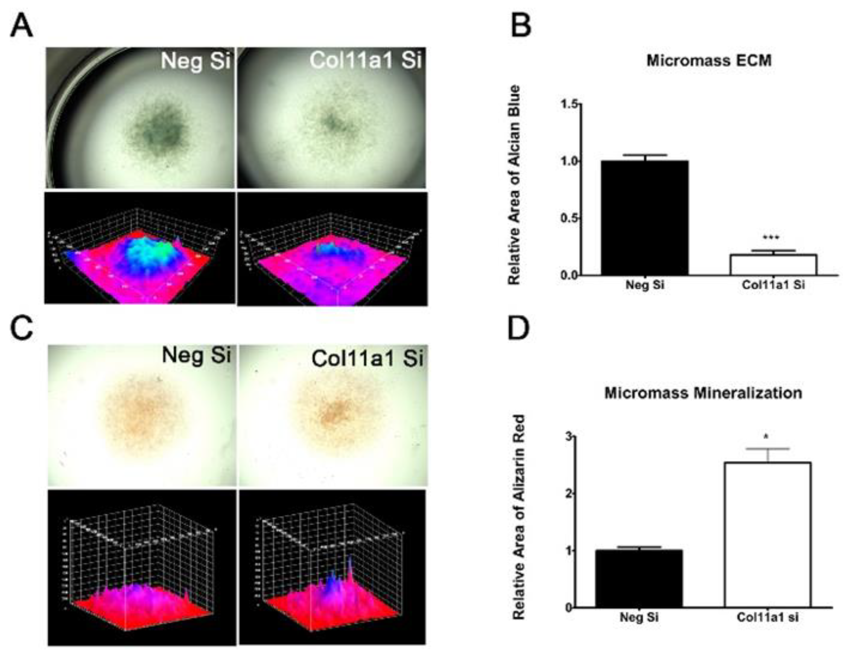 Preprints 66685 g003