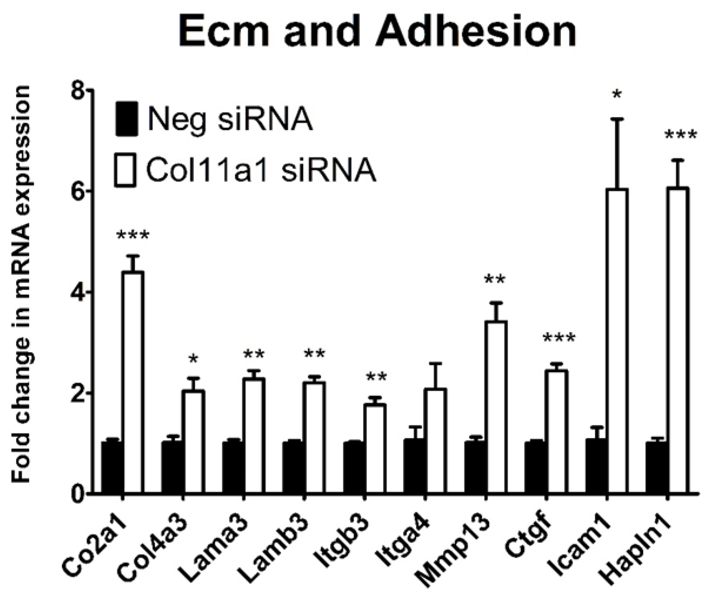 Preprints 66685 g006