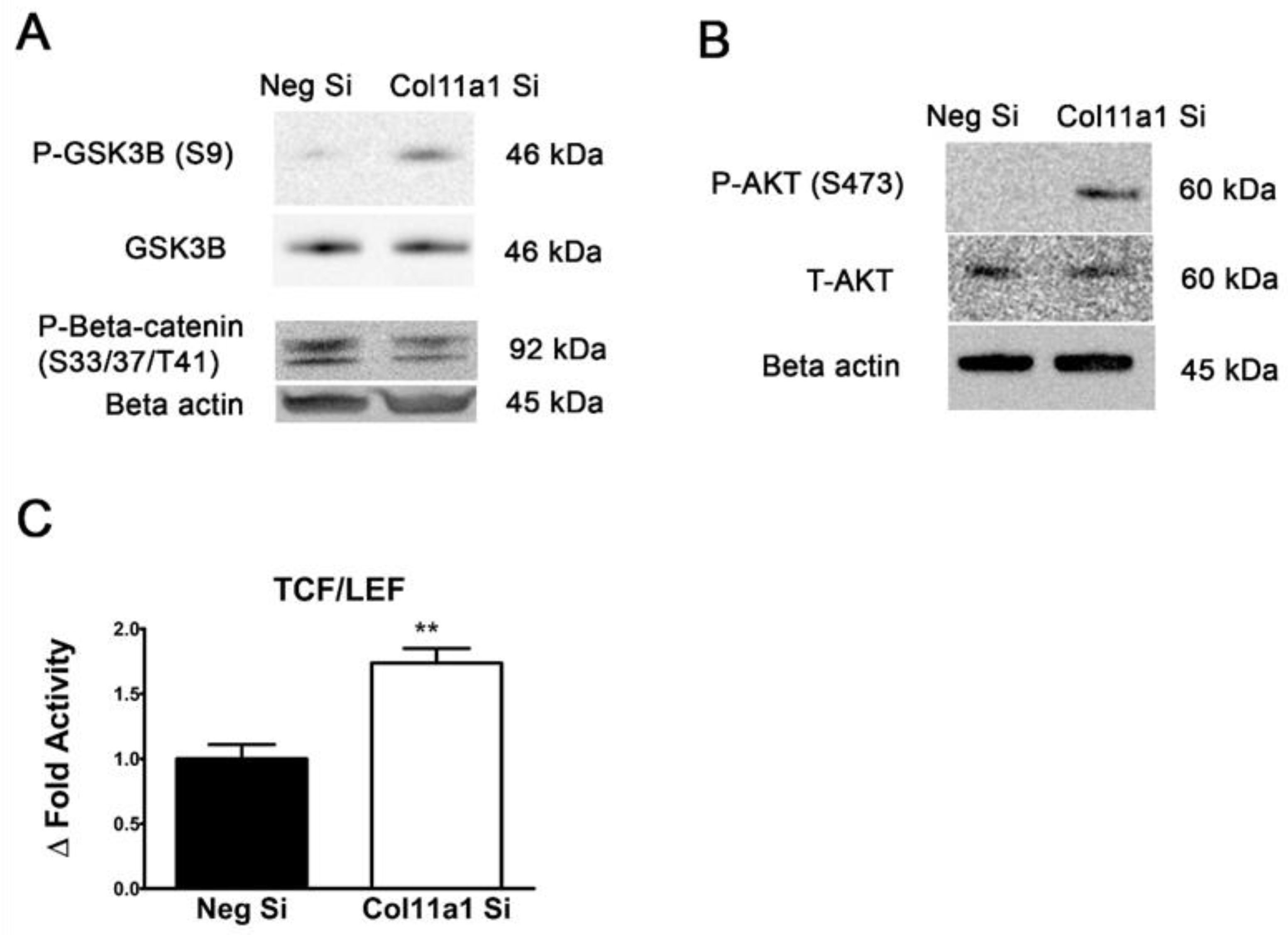 Preprints 66685 g007