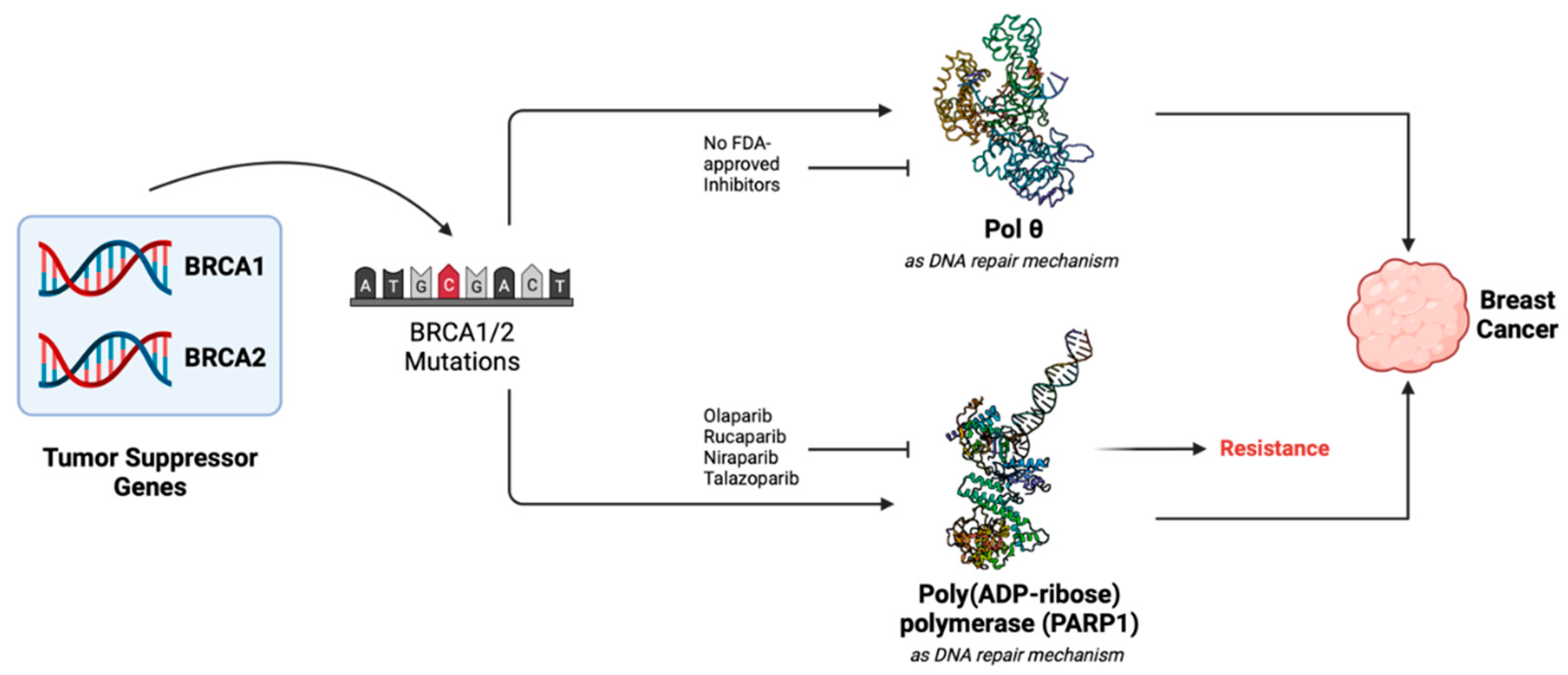 Preprints 99918 g001