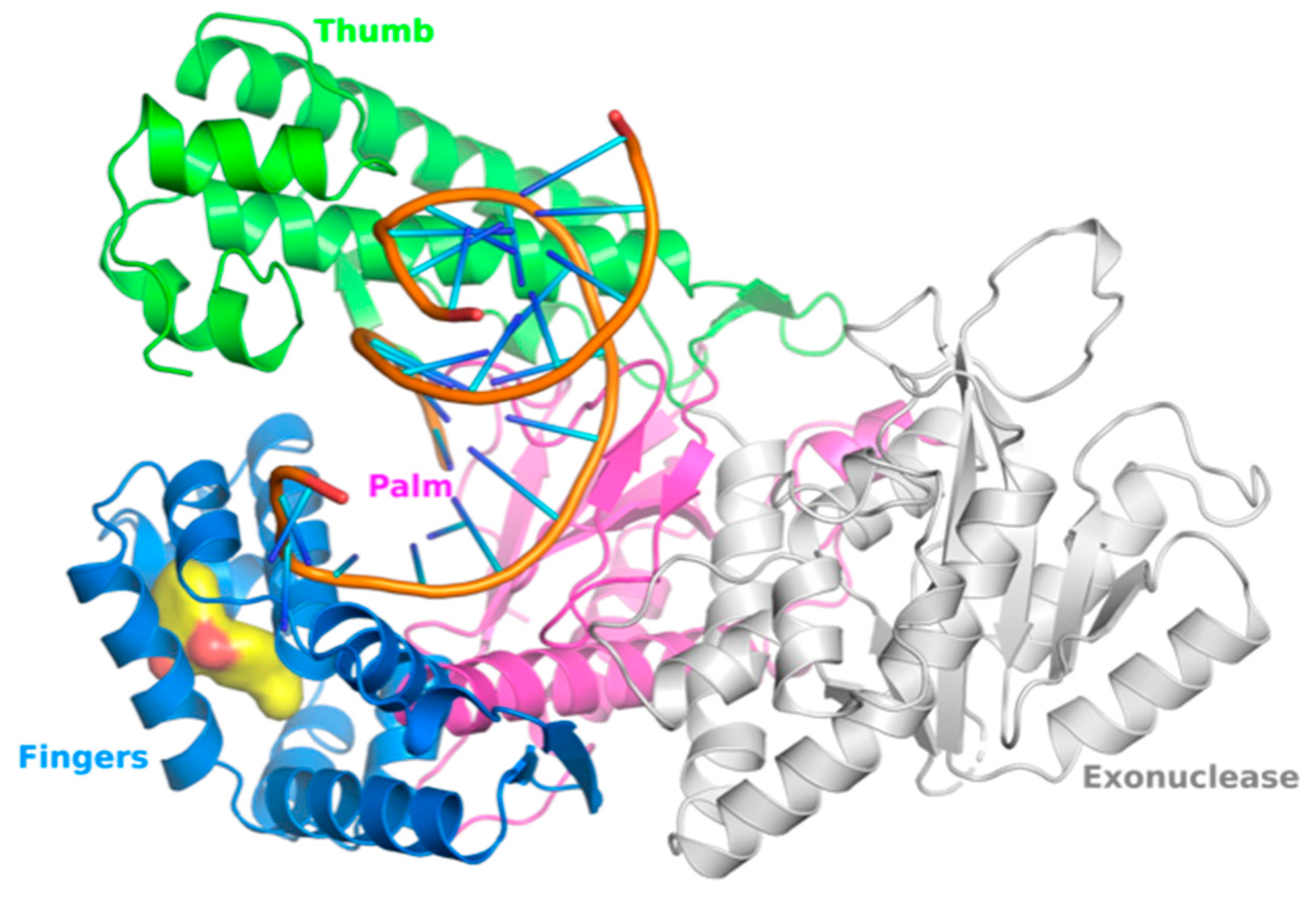 Preprints 99918 g003