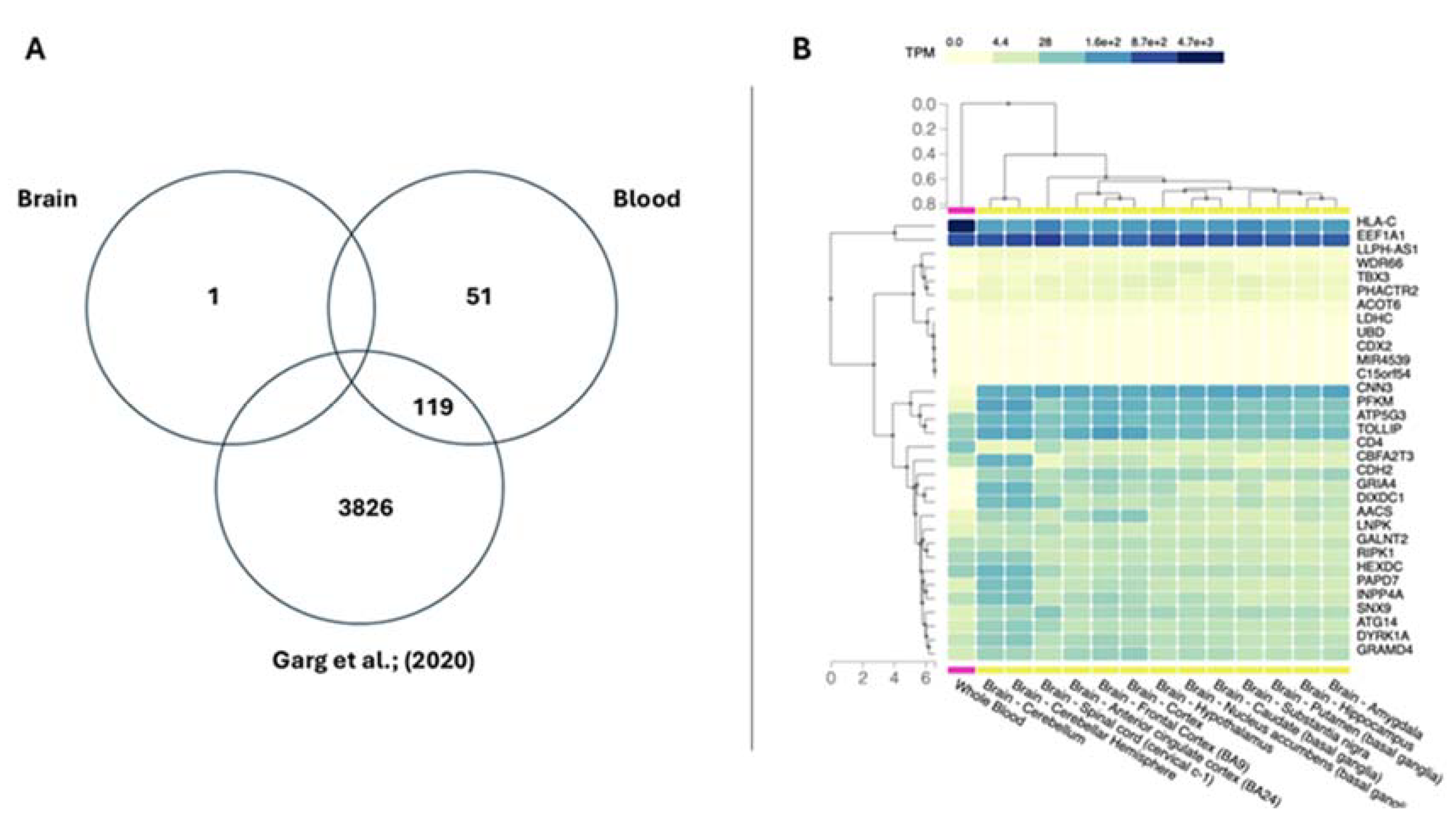 Preprints 115760 g004