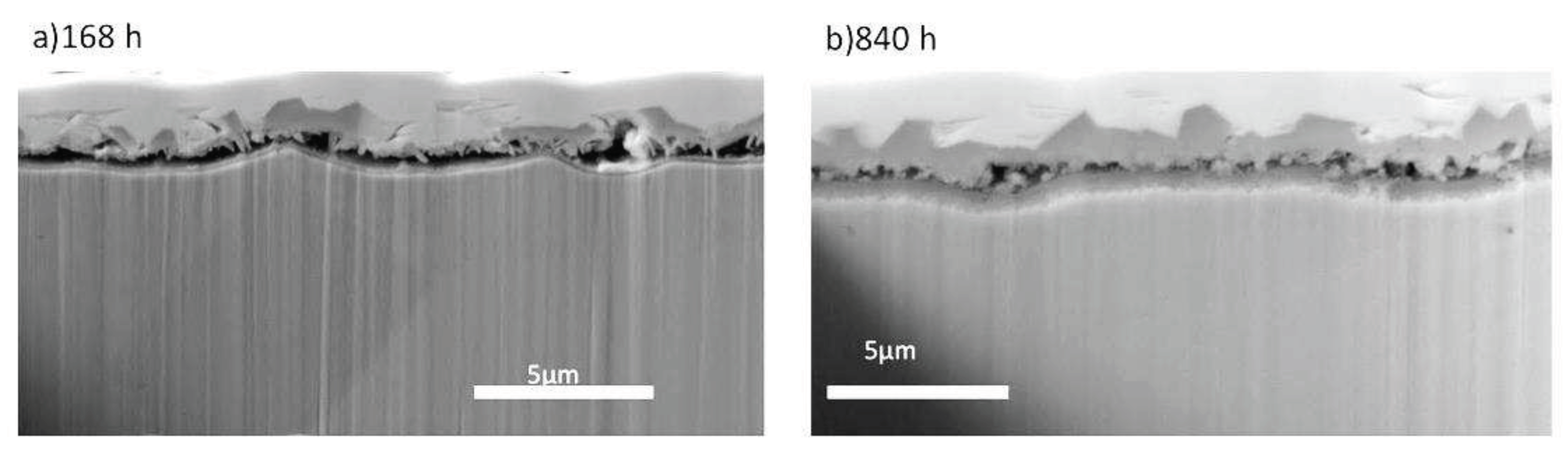 Preprints 86361 g004