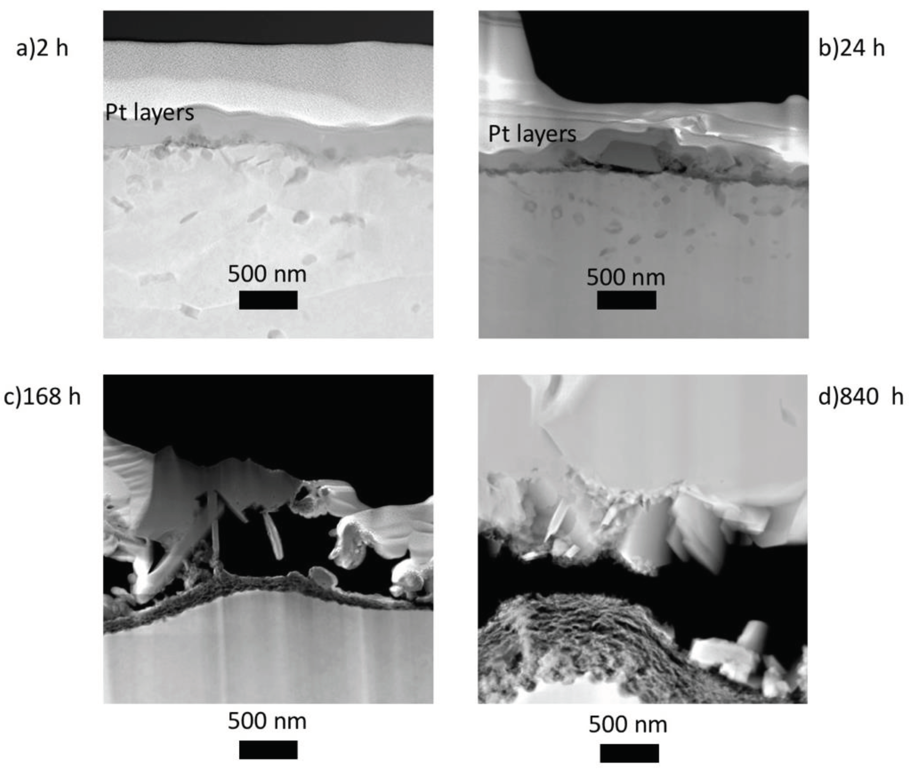 Preprints 86361 g005