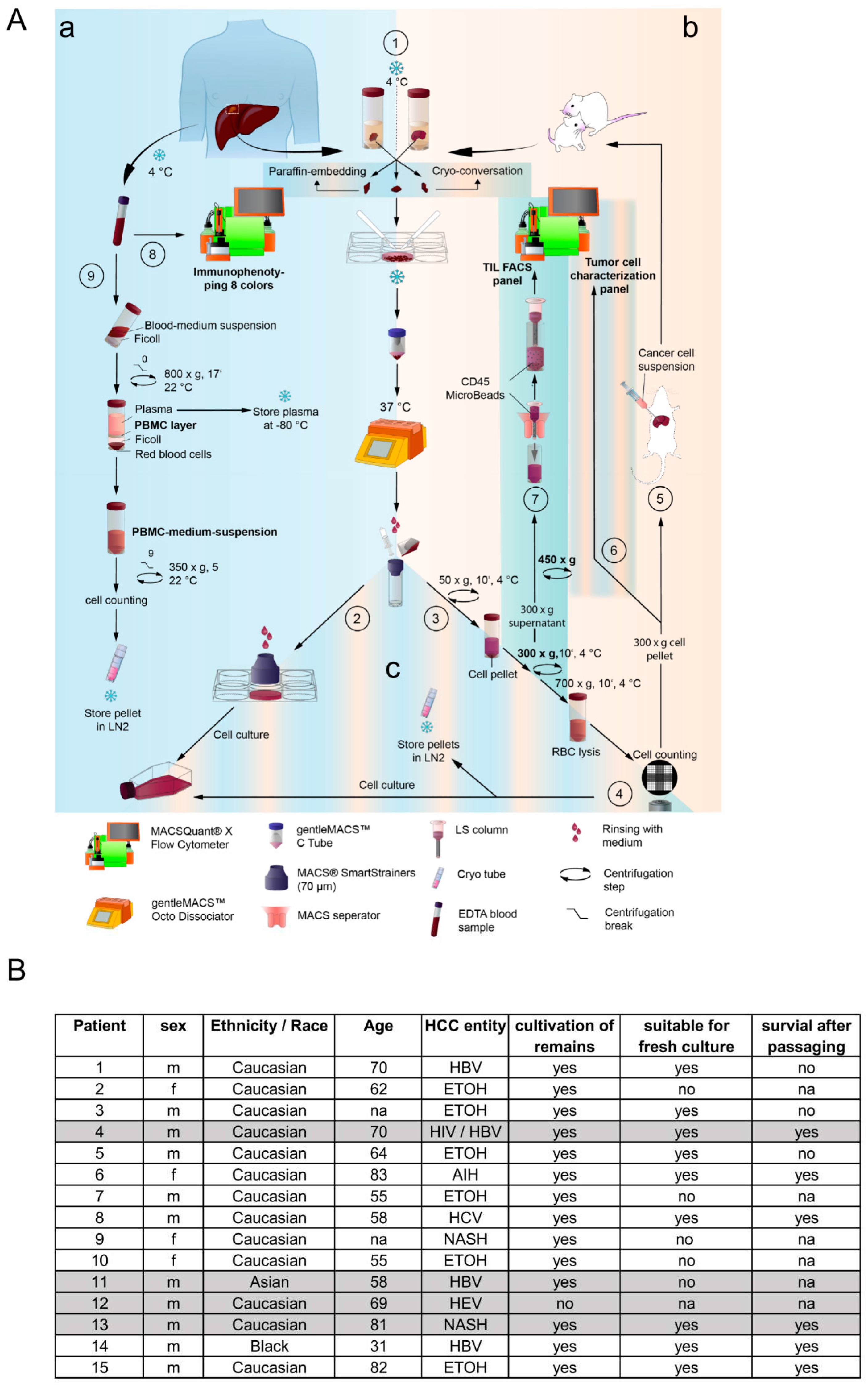 Preprints 91824 g001