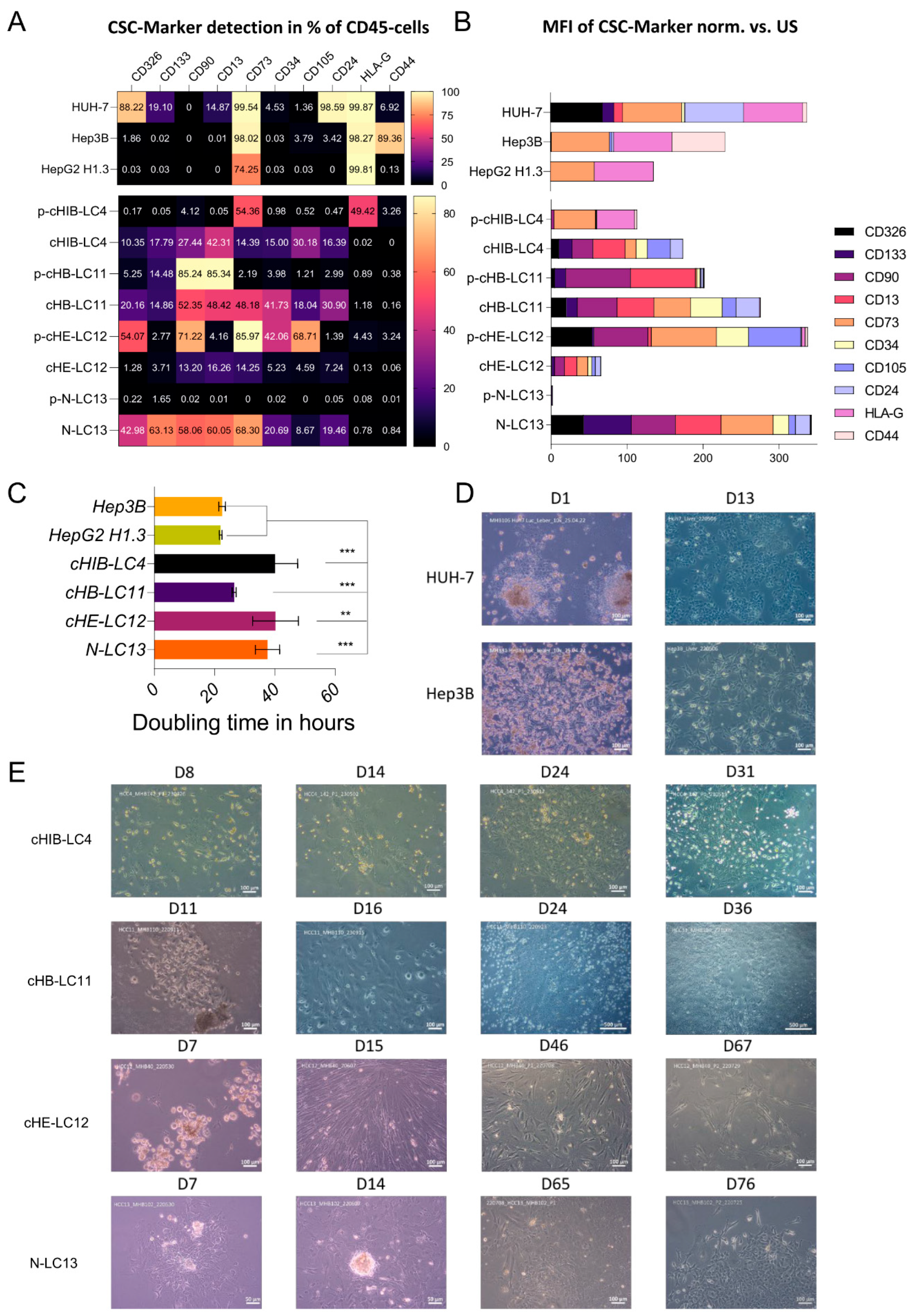 Preprints 91824 g002