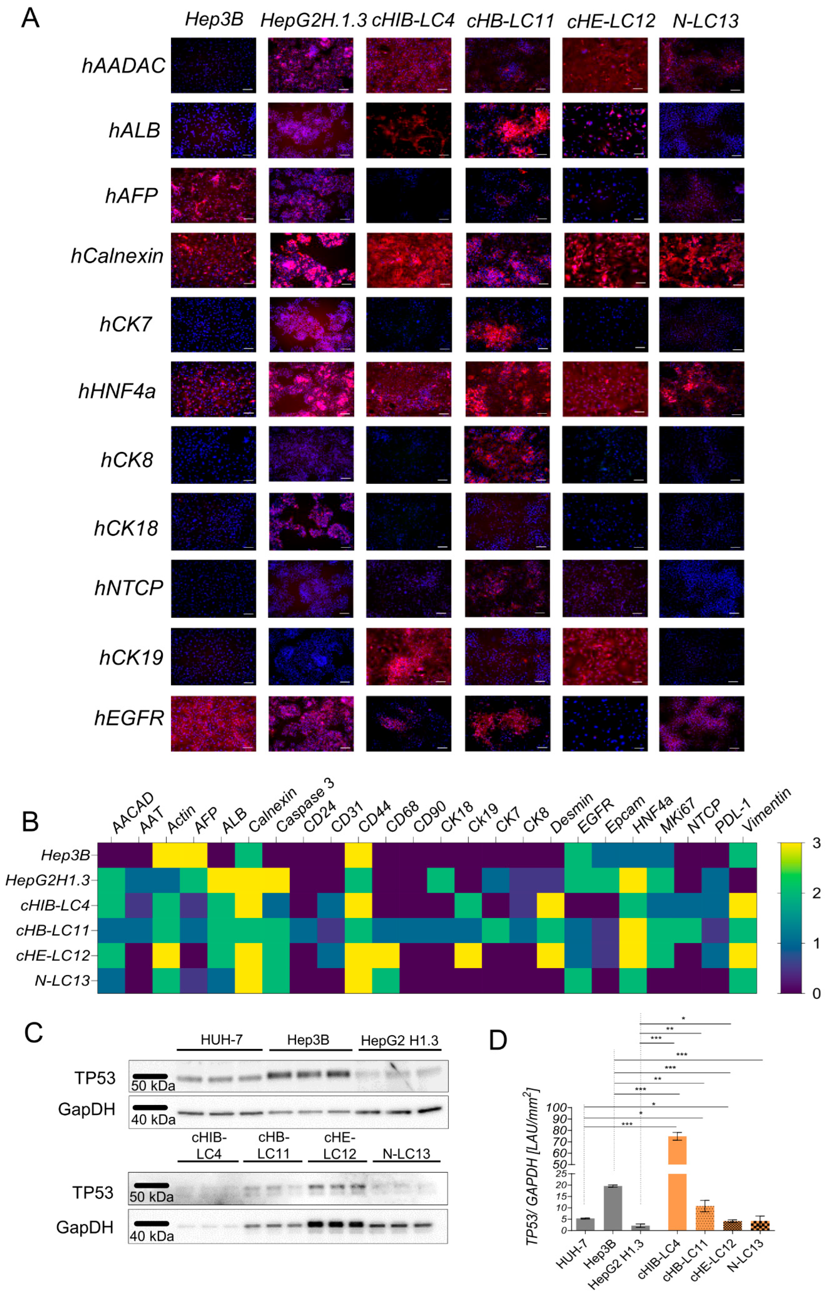 Preprints 91824 g003