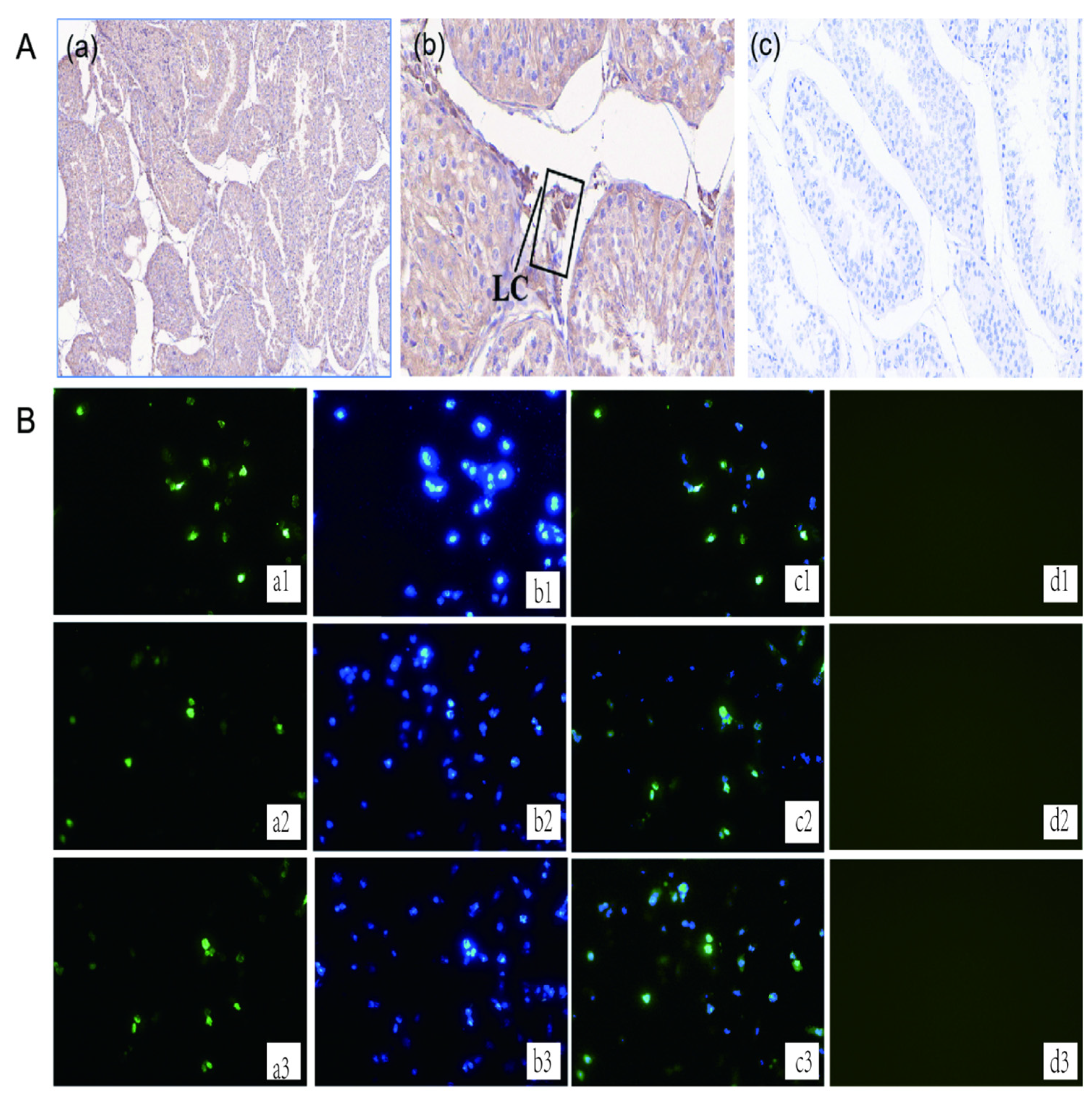 Preprints 110093 g001