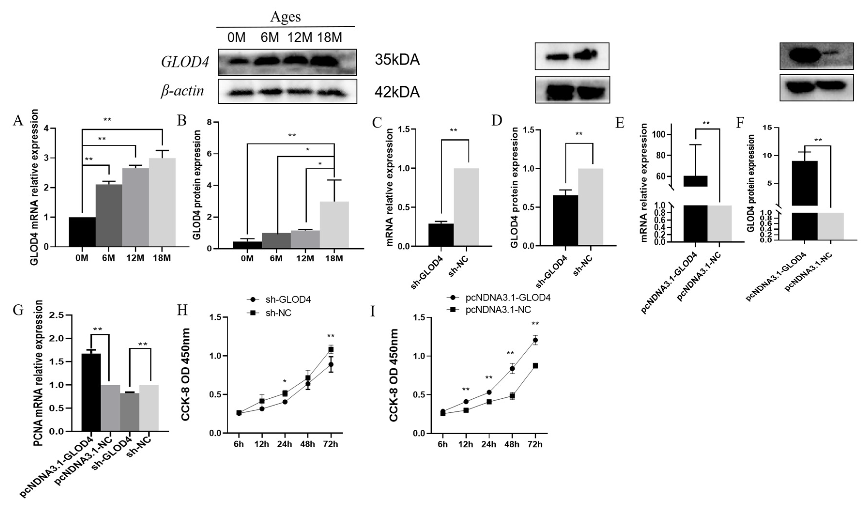 Preprints 110093 g002