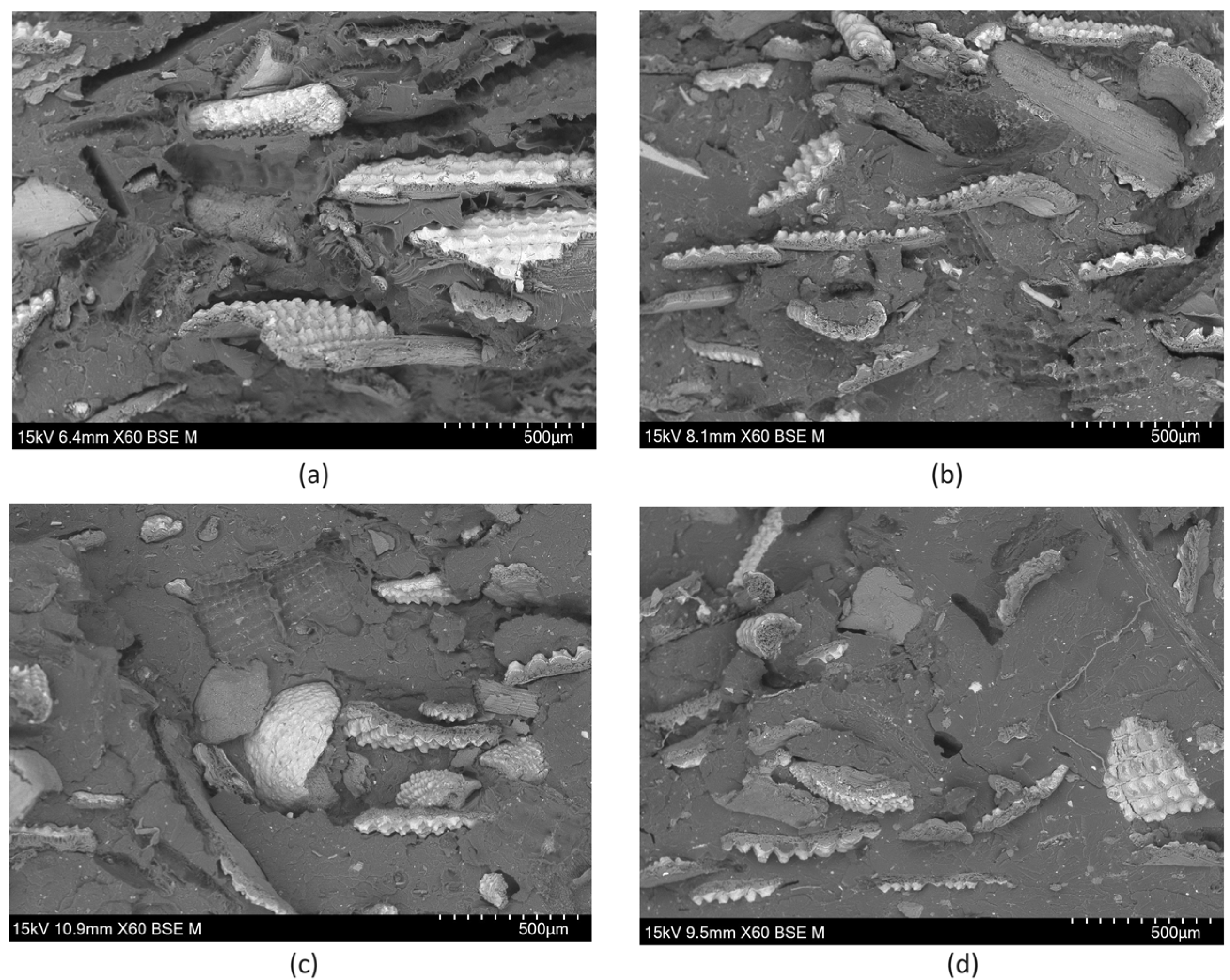 Preprints 111841 g008