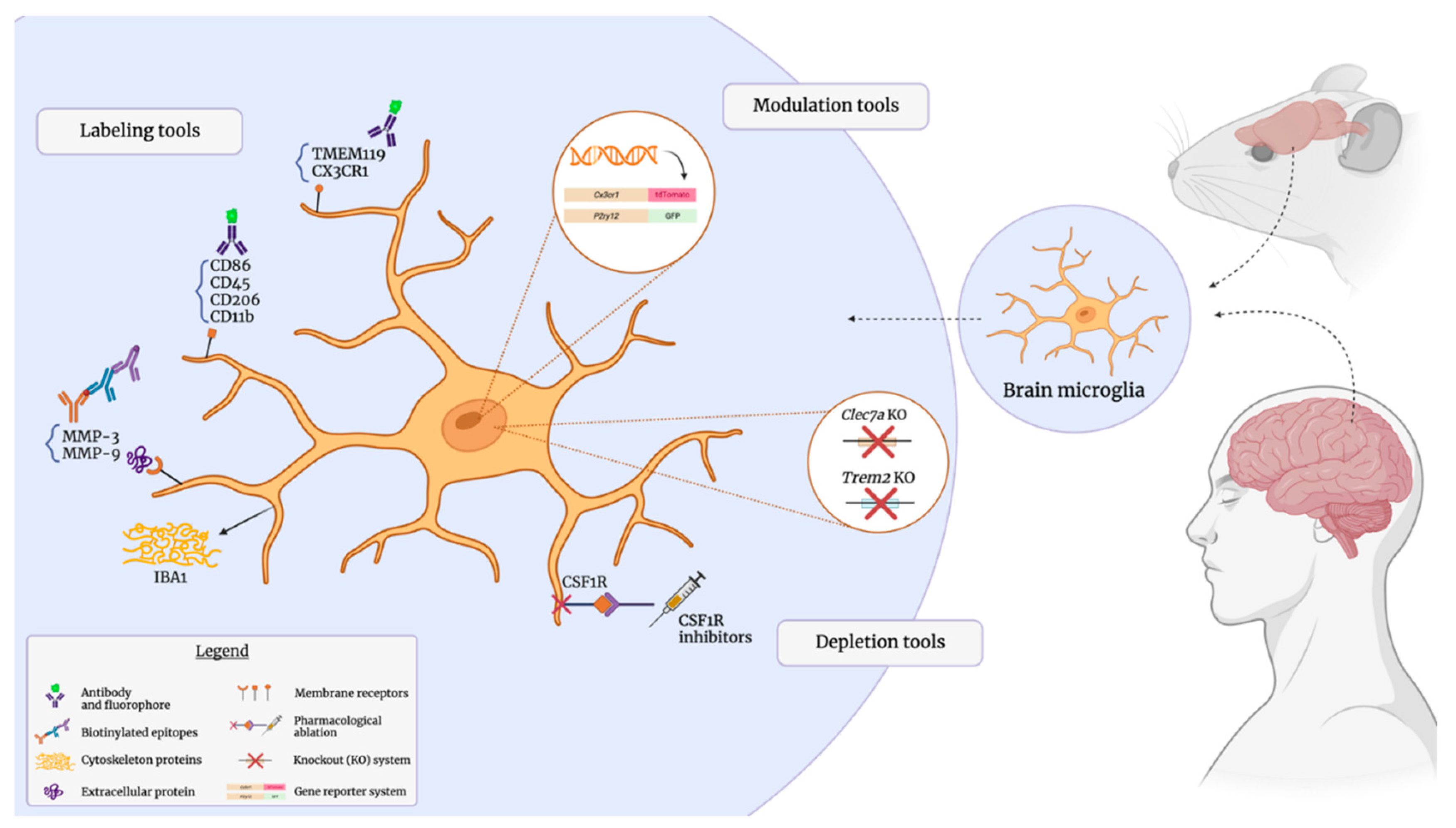 Preprints 83663 g002