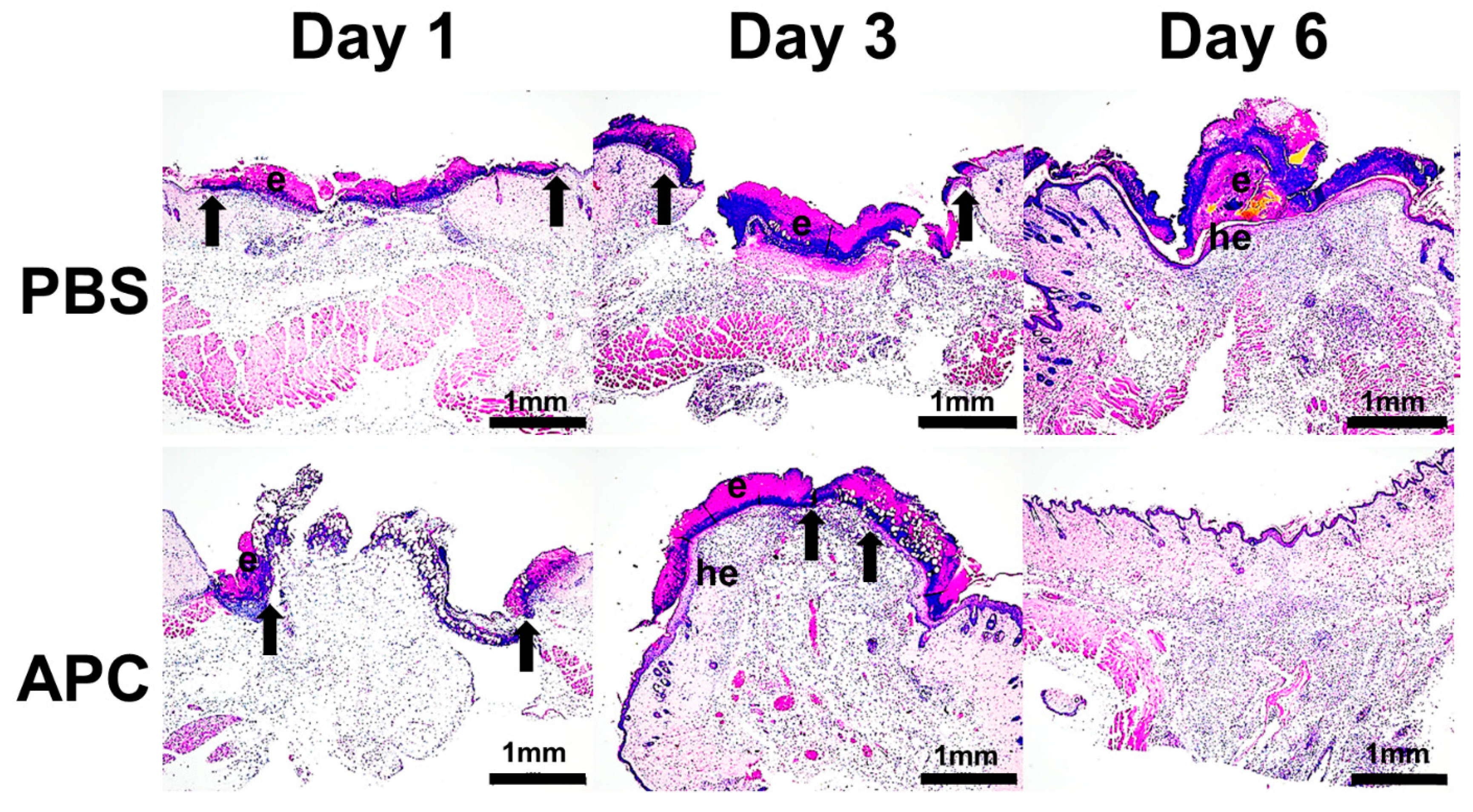 Preprints 91489 g001