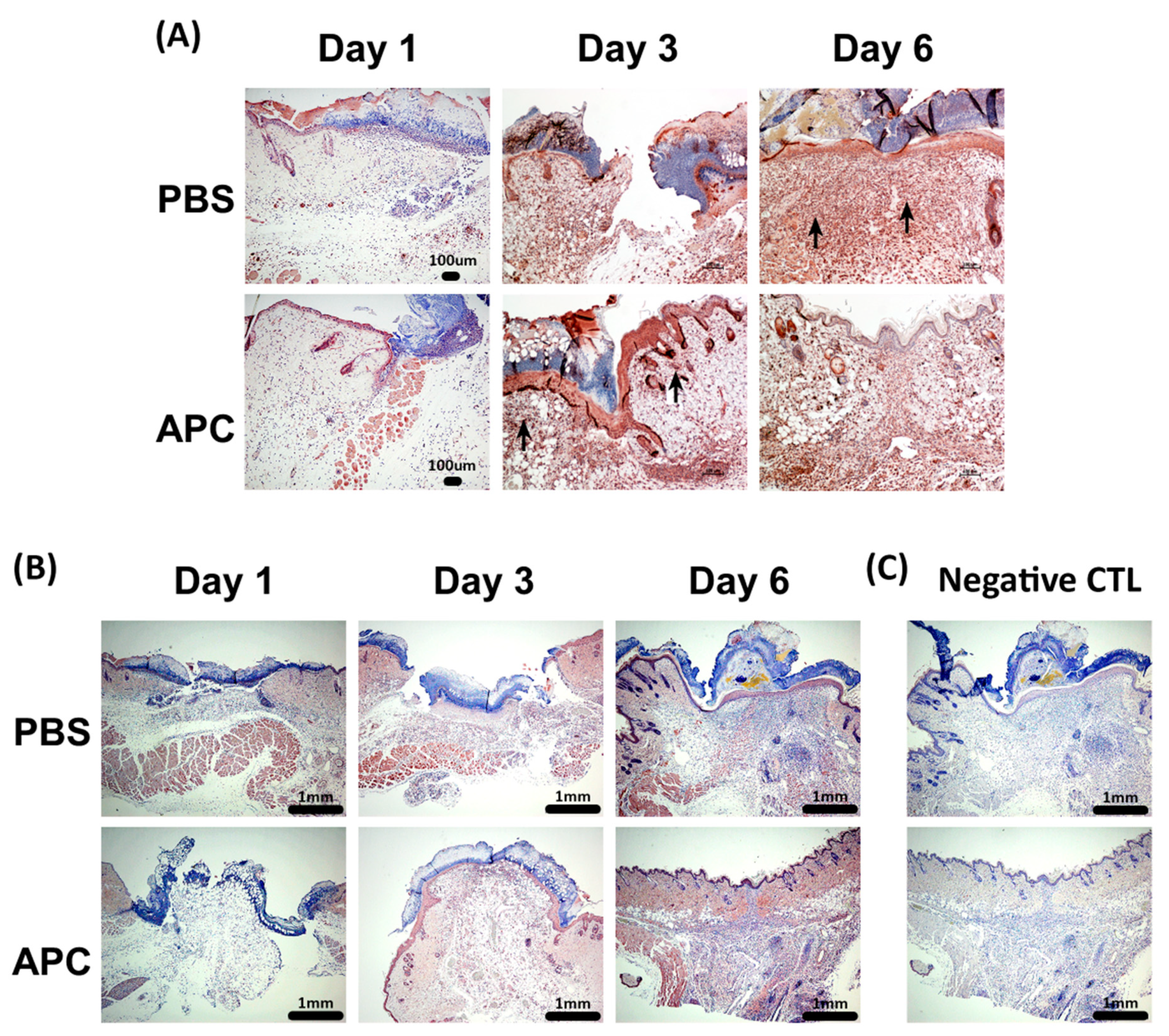 Preprints 91489 g003