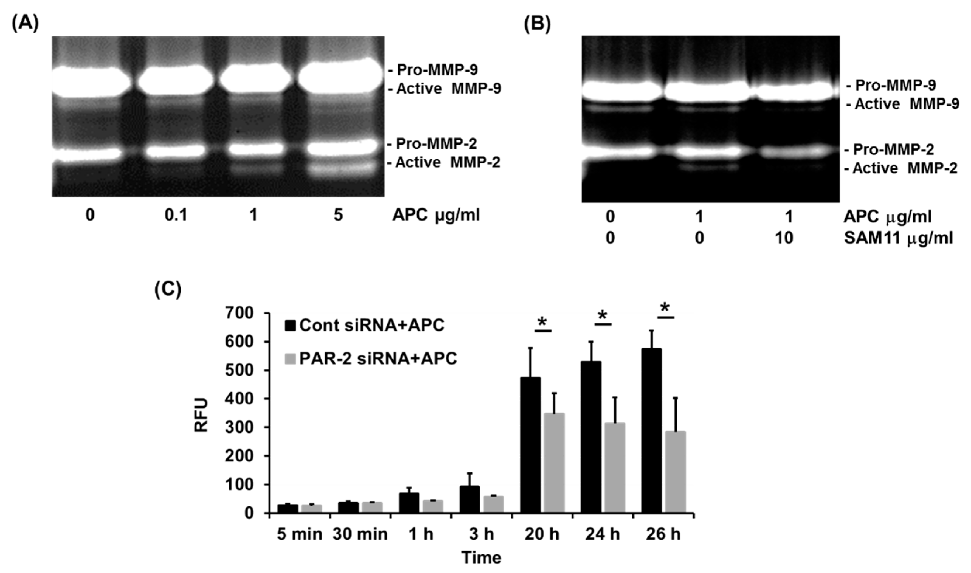 Preprints 91489 g004