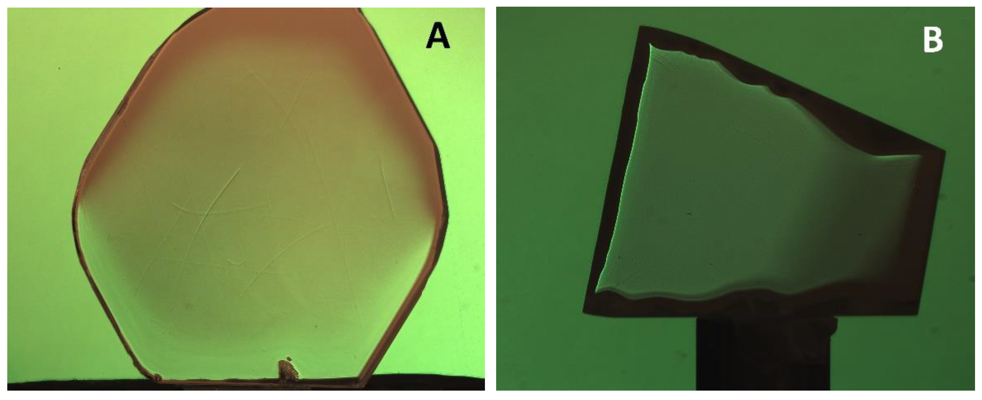 Preprints 115513 g007