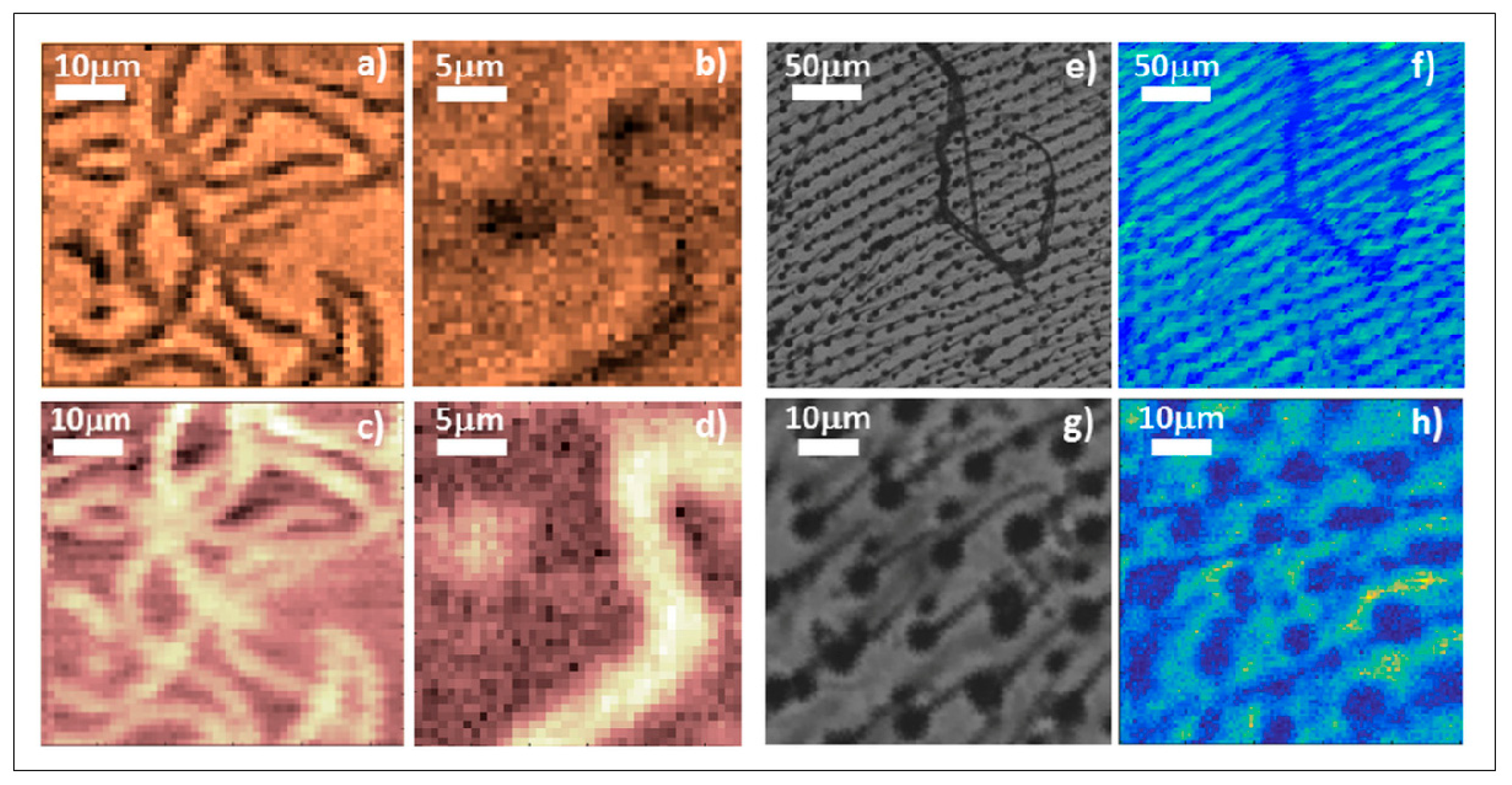 Preprints 103139 g018