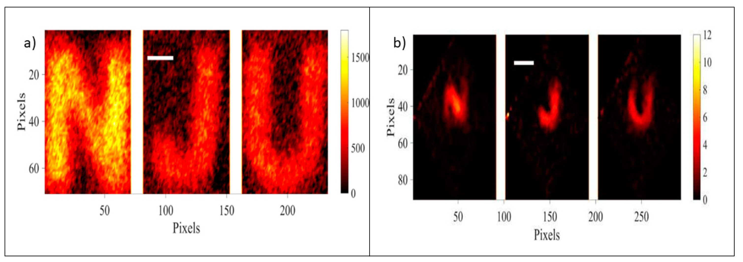 Preprints 103139 g021