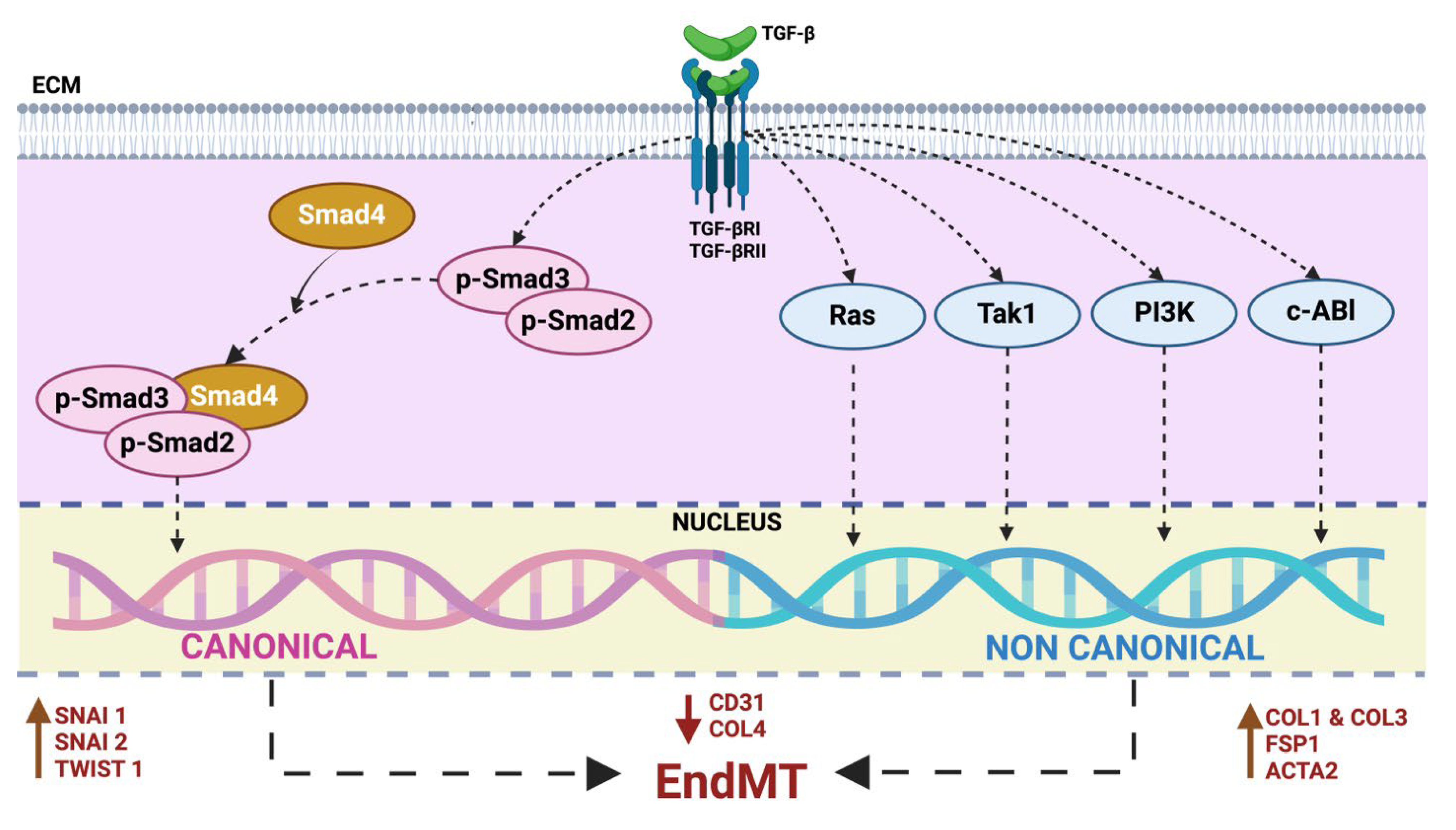 Preprints 106250 g003