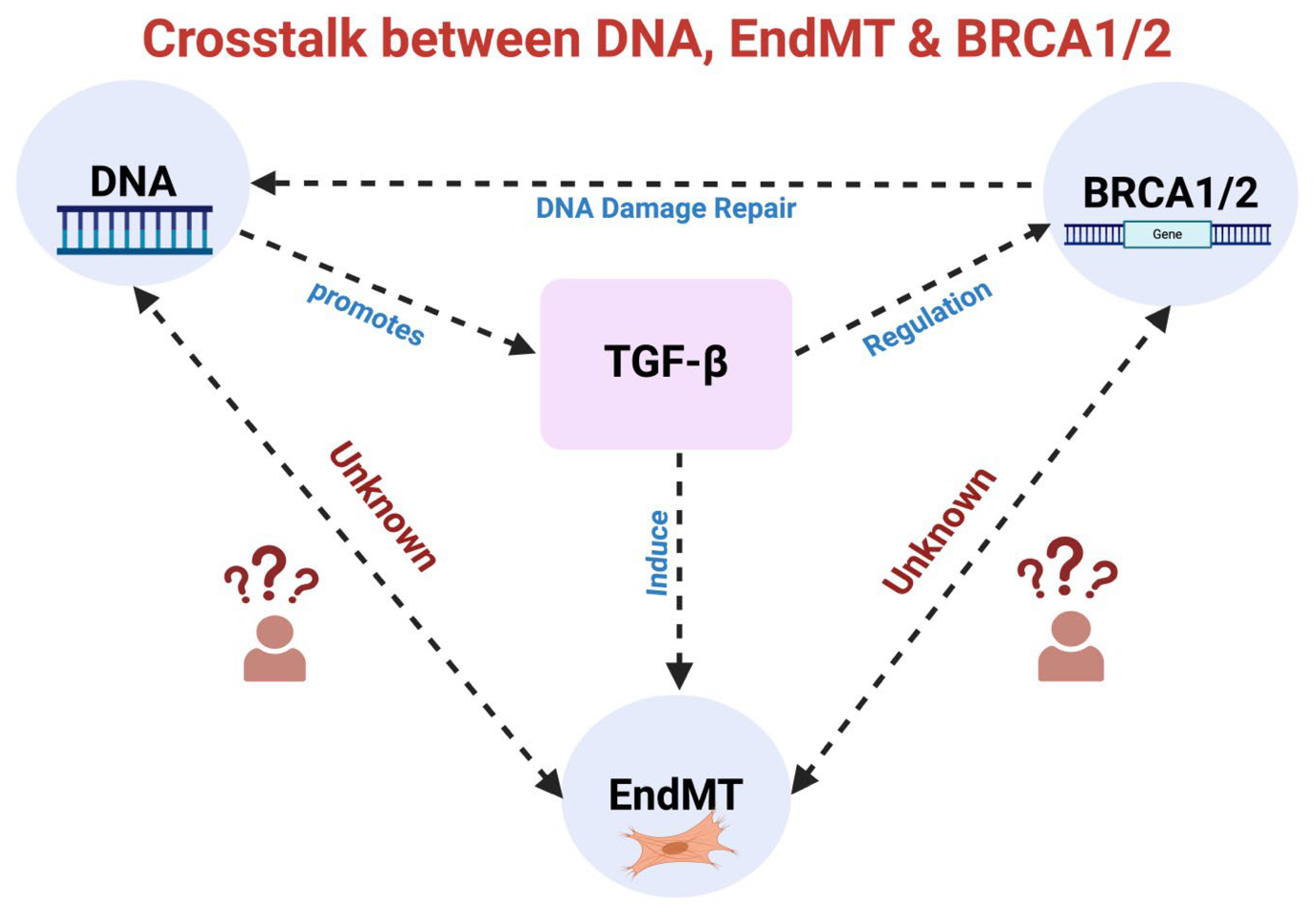 Preprints 106250 g004