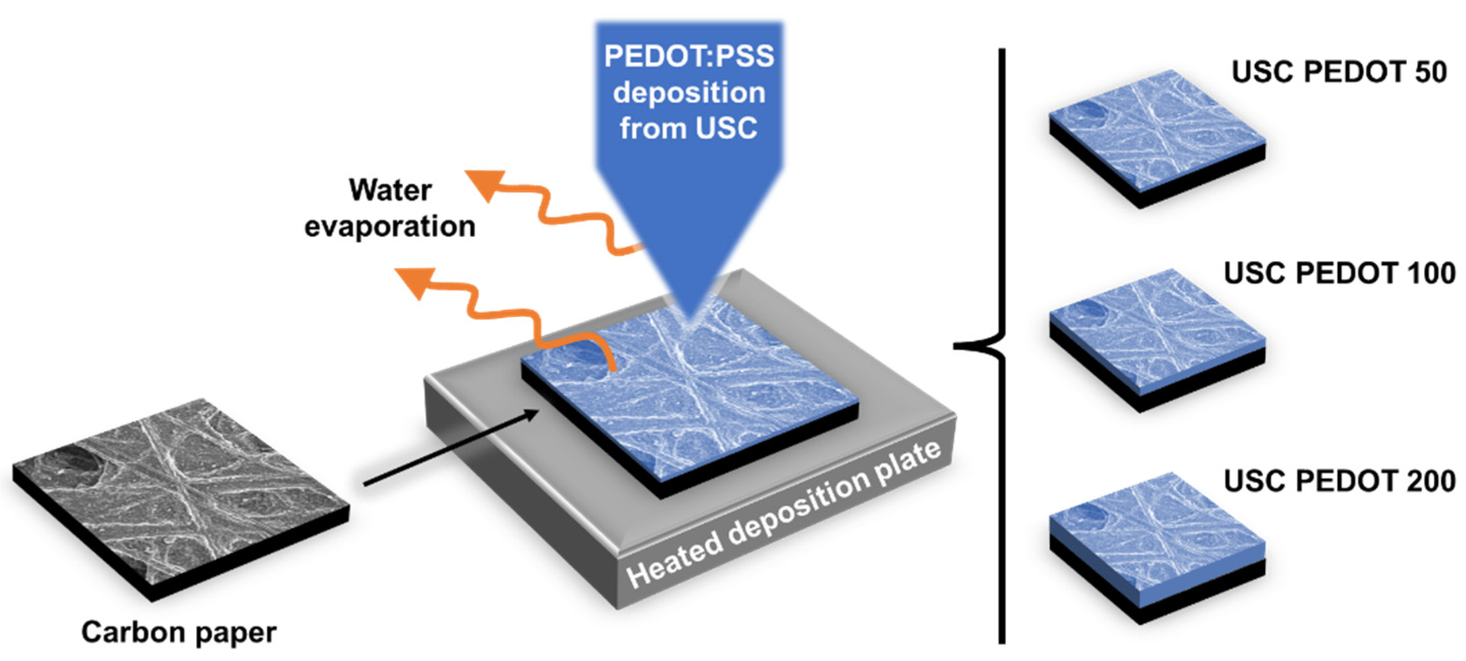 Preprints 86562 g001