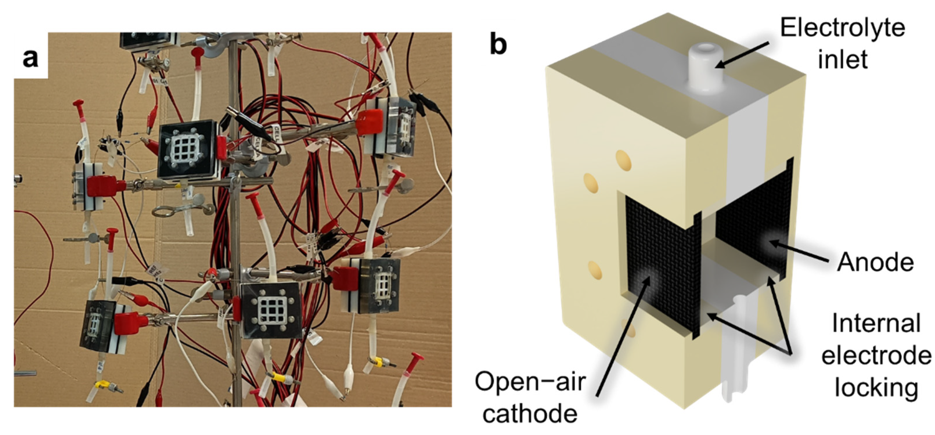 Preprints 86562 g002