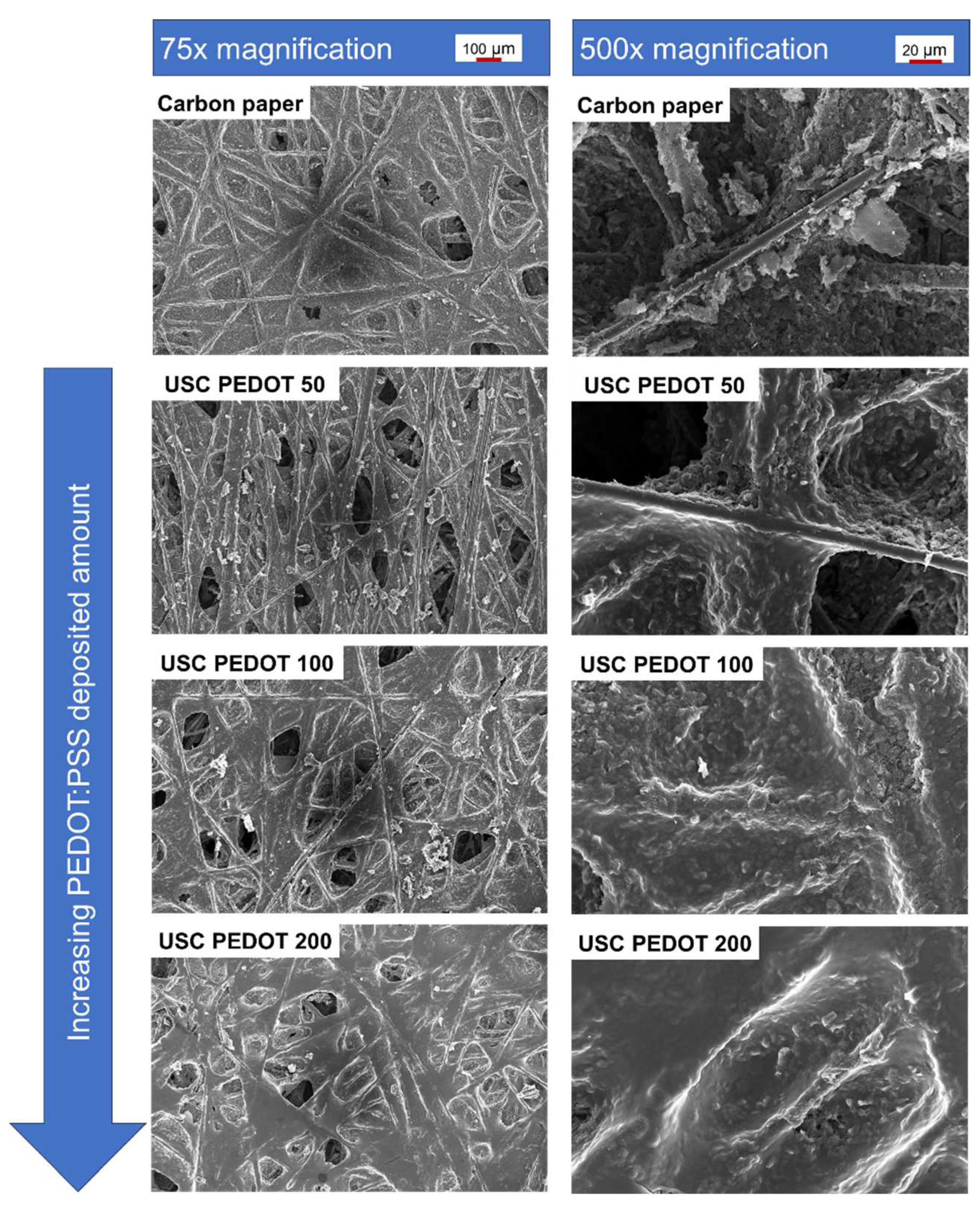 Preprints 86562 g003