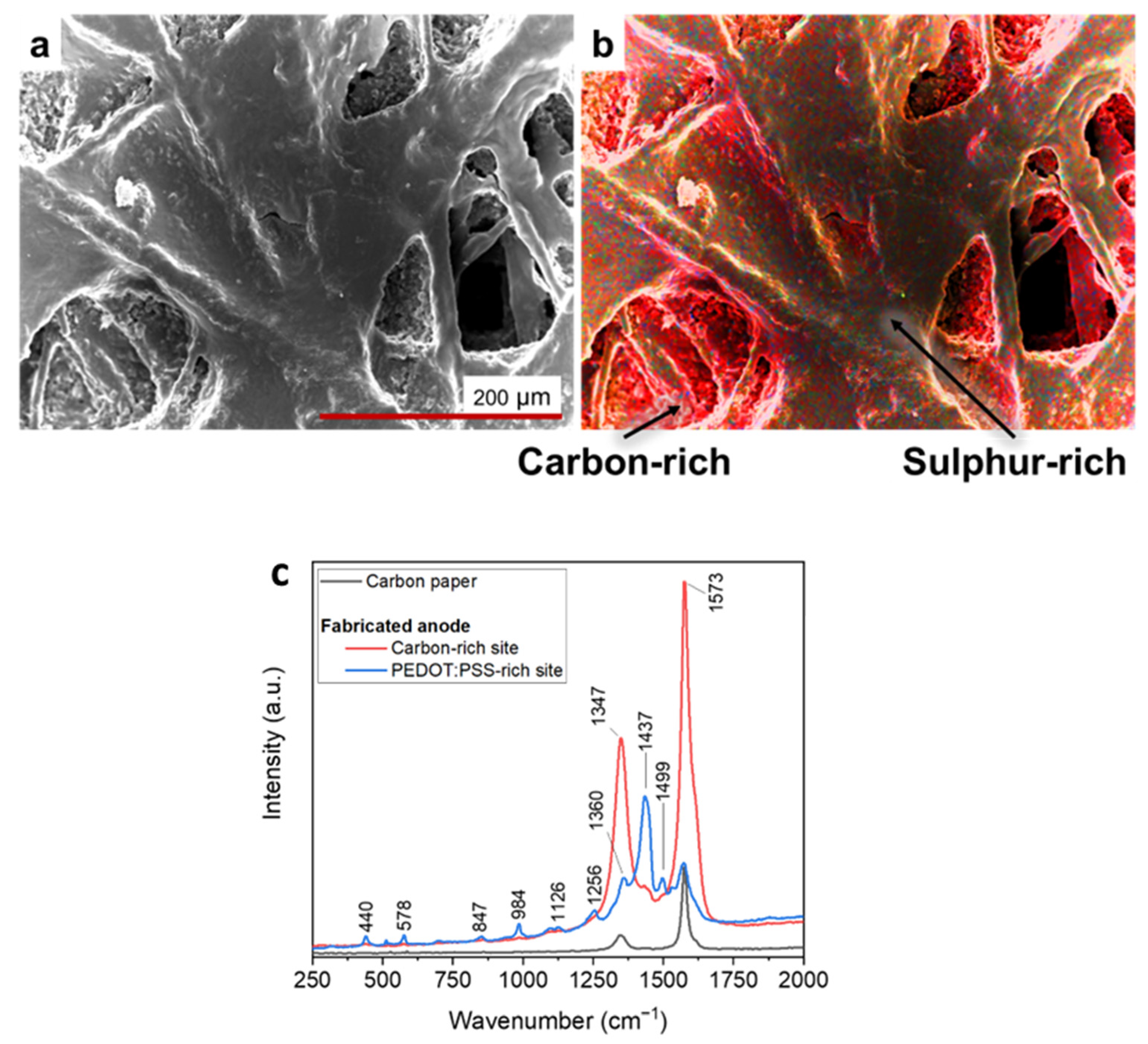 Preprints 86562 g004