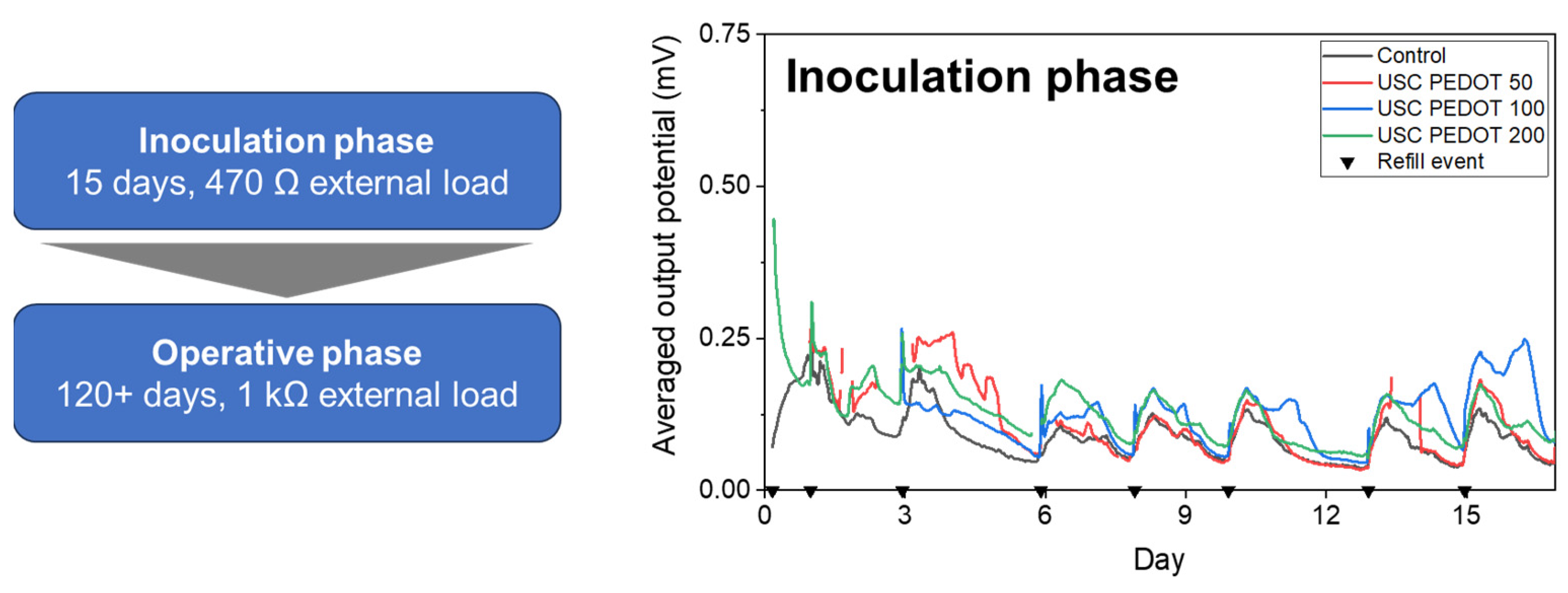 Preprints 86562 g006