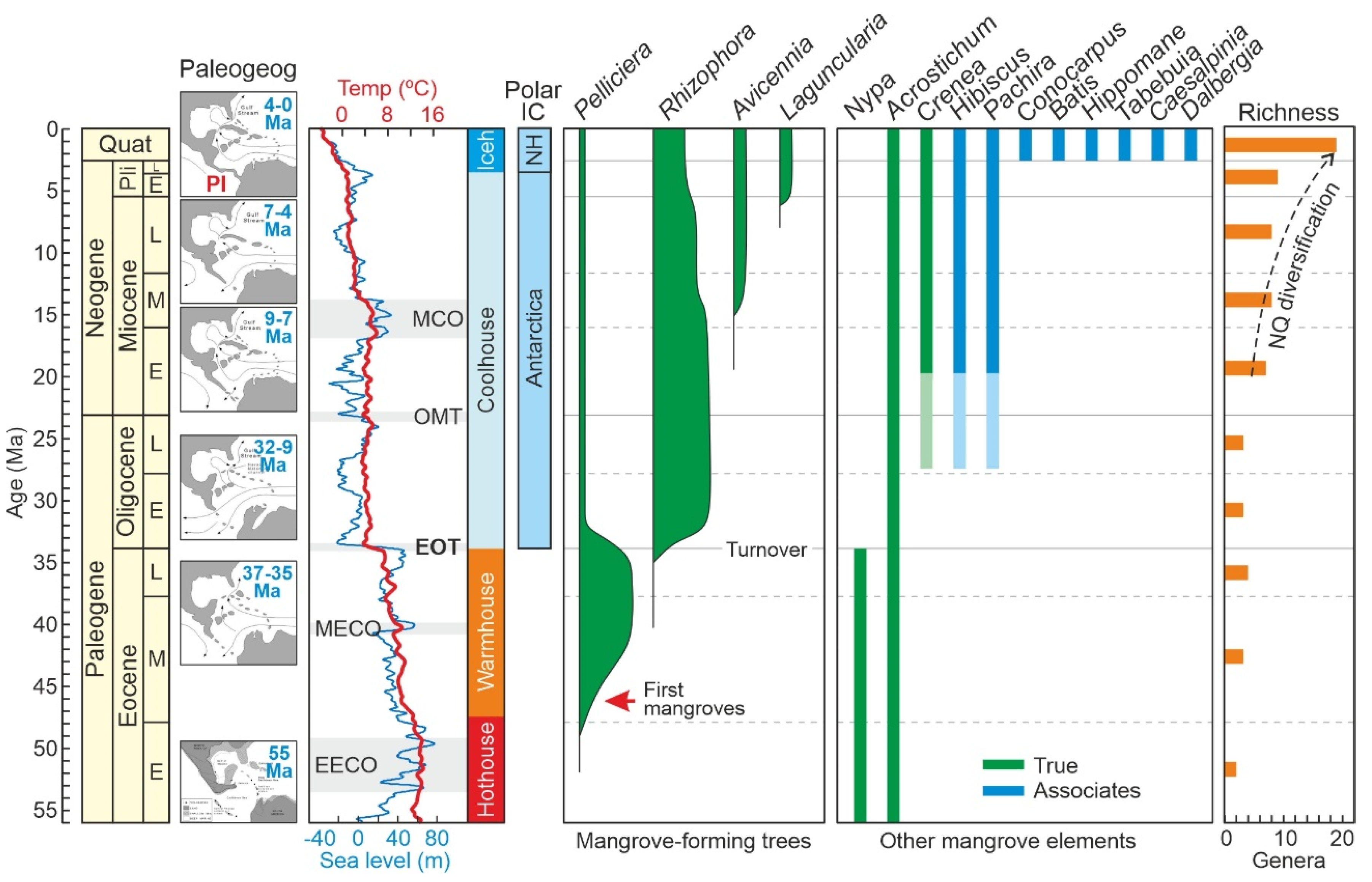 Preprints 70034 g004